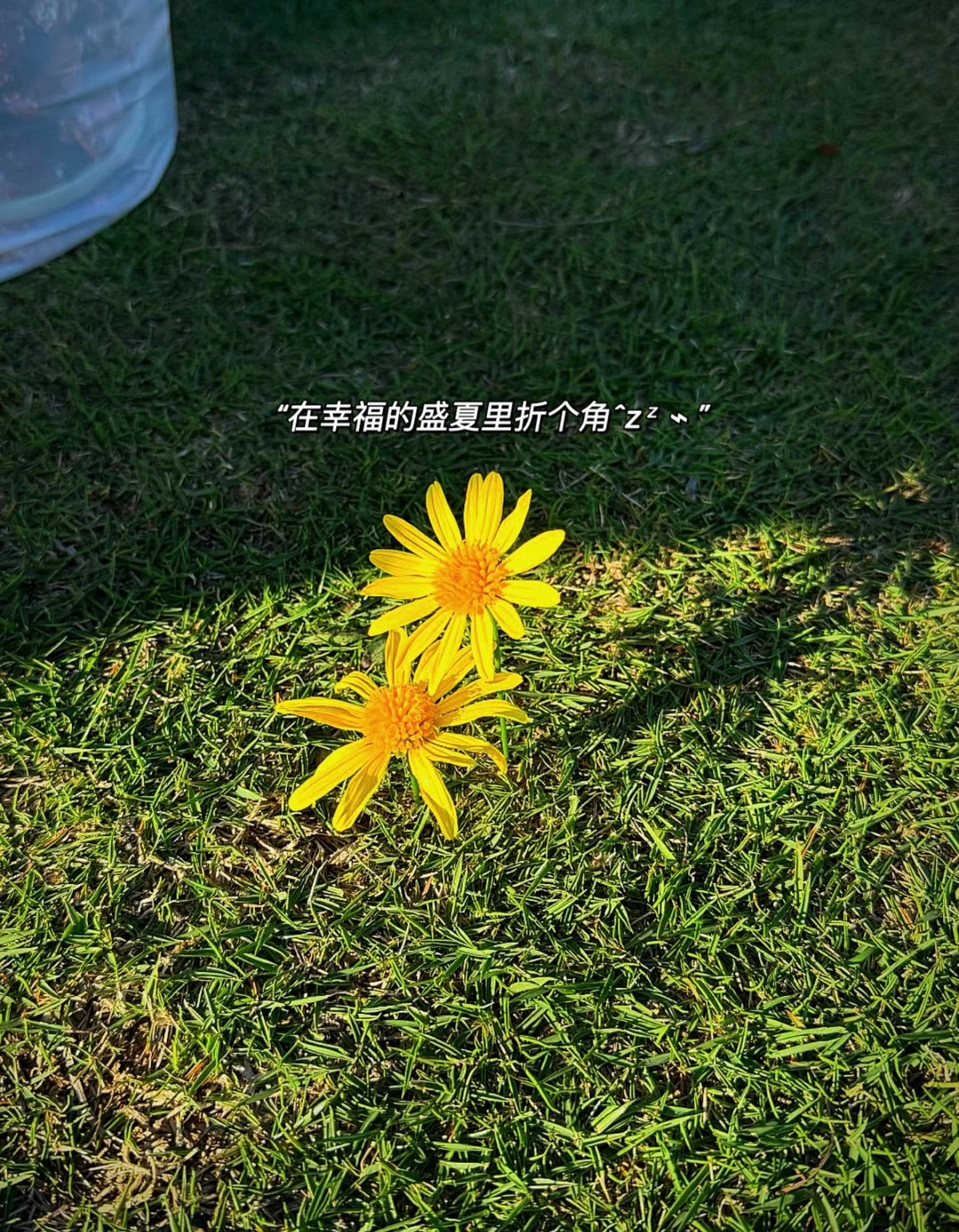 🌿“清醒通透走心文案💚”丨朋友圈日常文案❶. 🌵𝐘𝐞𝐞𝐞𝐞 ✌︎