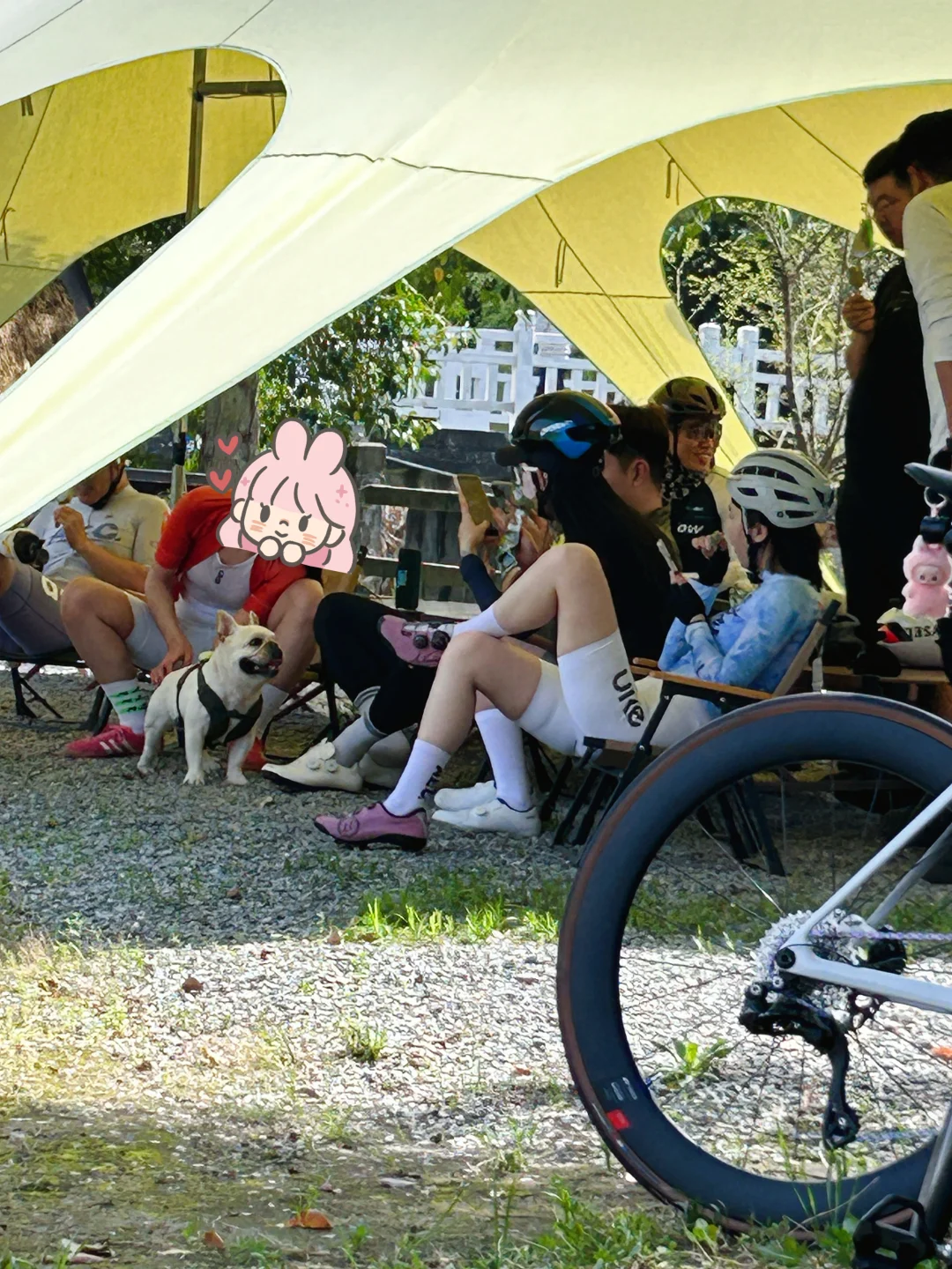 他们好幸福，如果那不是我的狗就好了