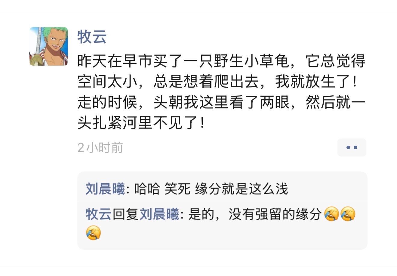 很可爱的一条朋友圈晨曦说