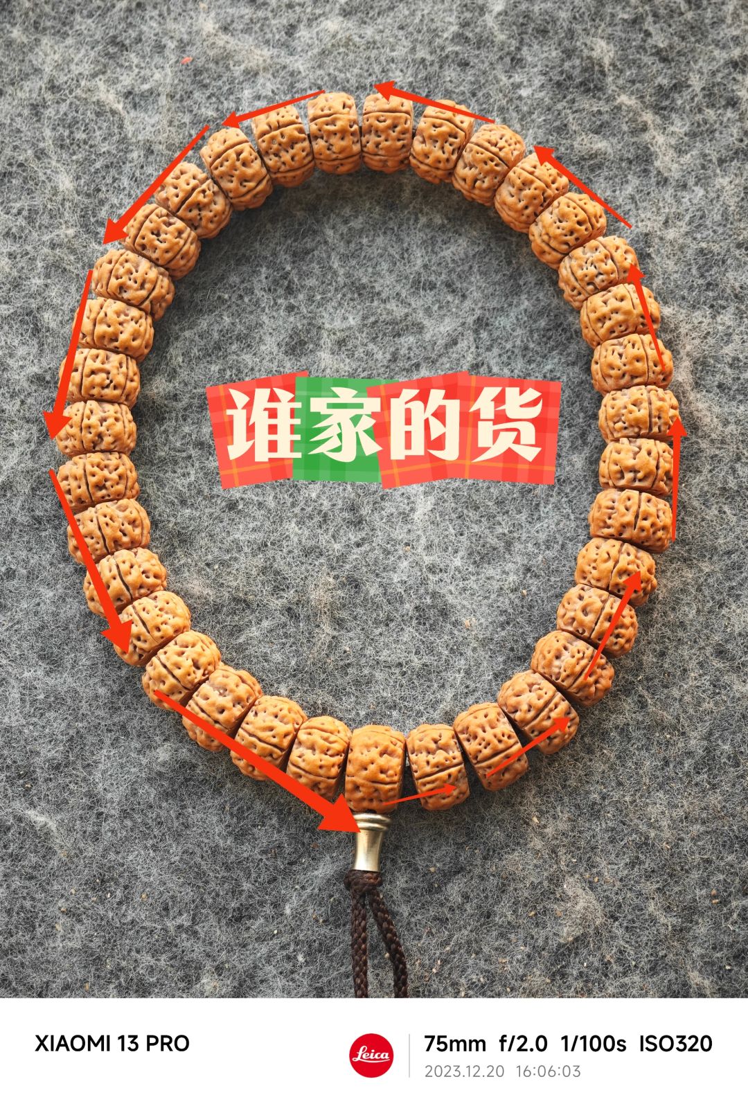 NO.334 这是谁家的小金刚啊