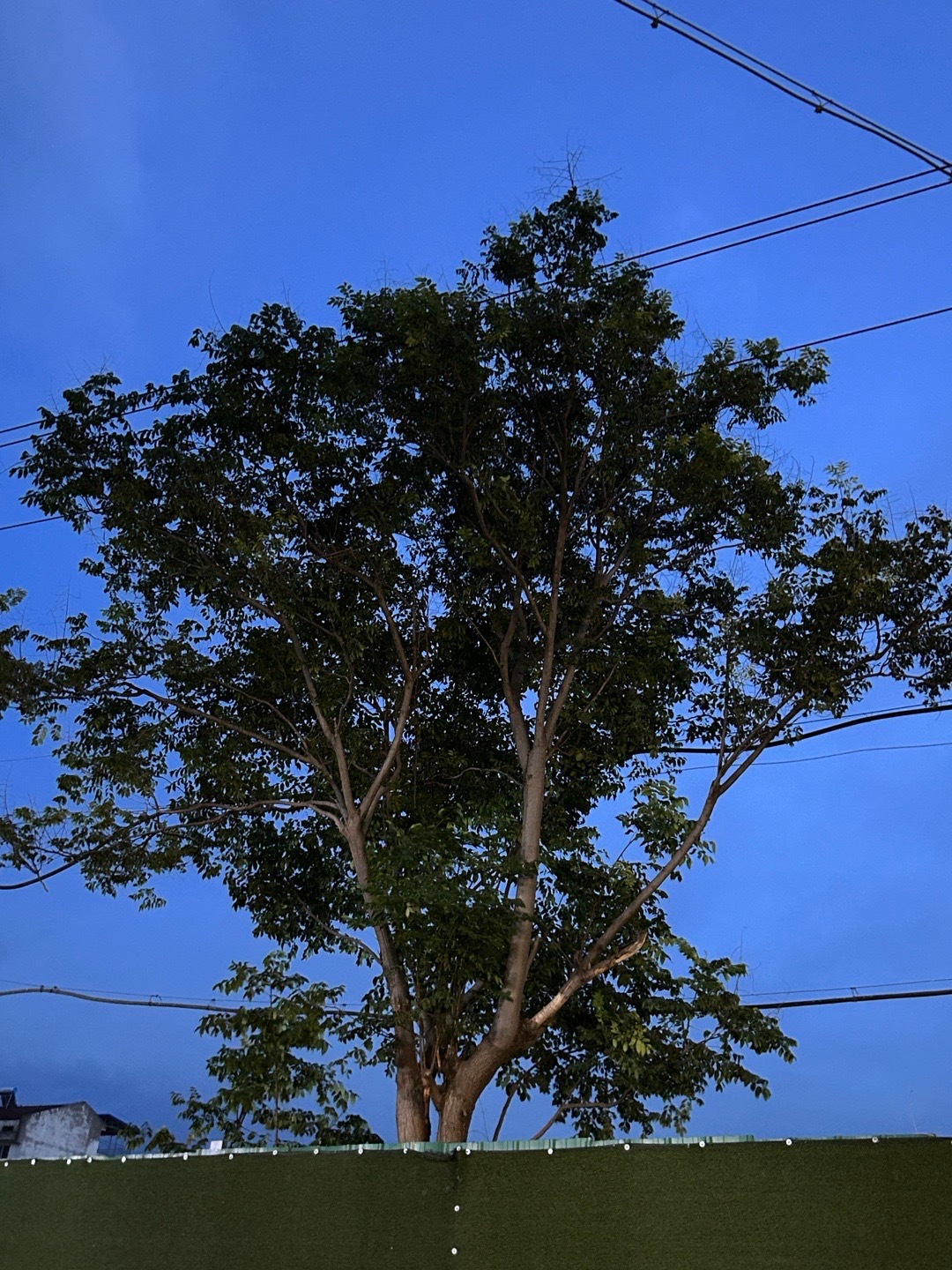 晚安[超话]  月亮已值班，烦恼请退场，晚安好梦。 ​​​