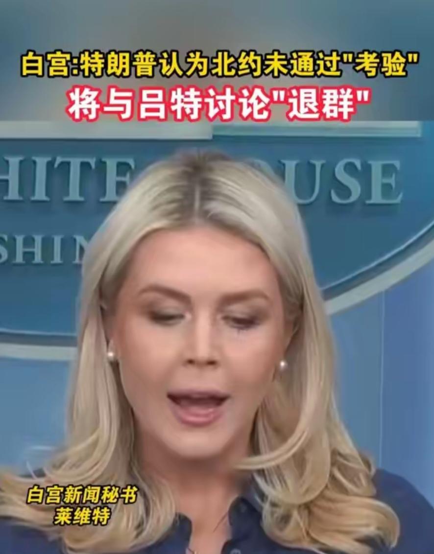 特朗普怒斥北约“没通过考验”，美“退群”威胁背后全是利益算计
 
当地时间202