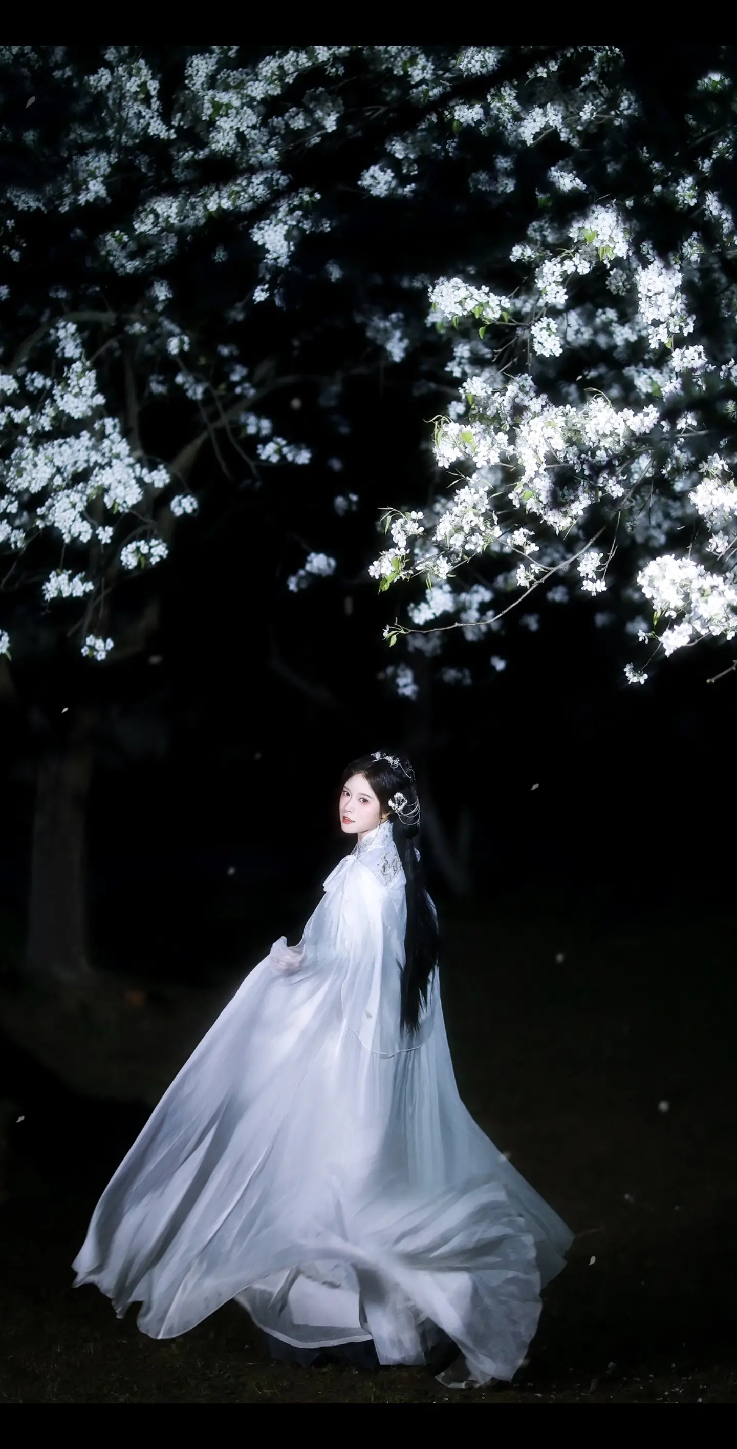 “满树梨花皆作云”|客。