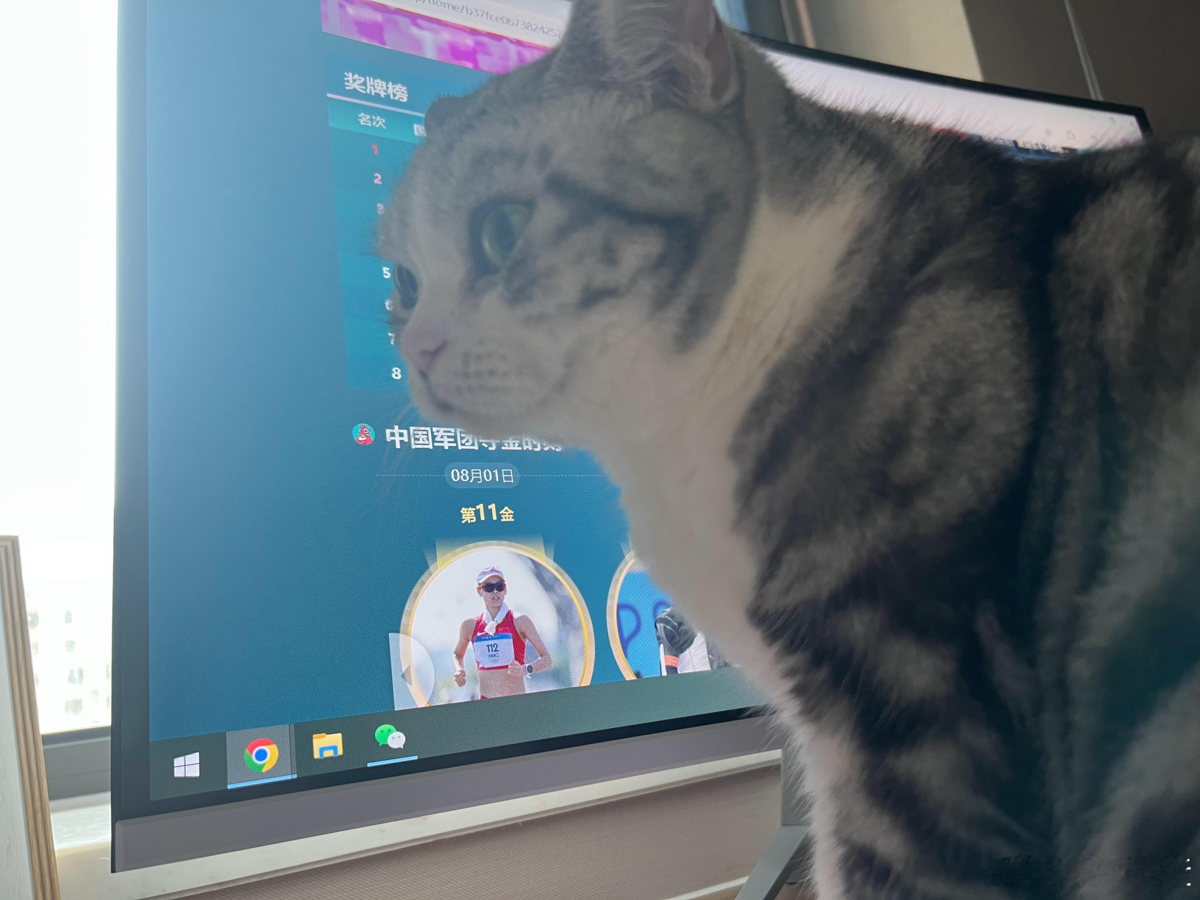 不是，你这个小家伙也爱看奥运会呗，没事过来挡我一下。#奥运会# ​​​