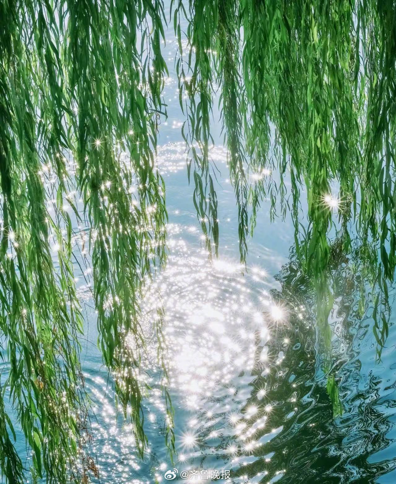 风里裹着春息，也裹着惦念，唤醒新一天的暖意。#早安#