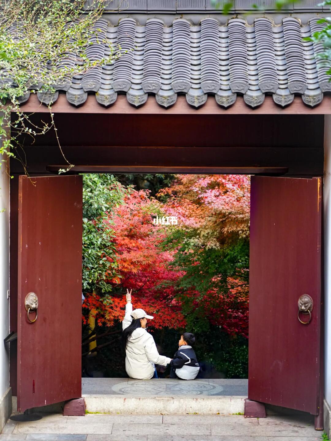 九溪枫叶红了‼️附不累惬意的citywalk路线