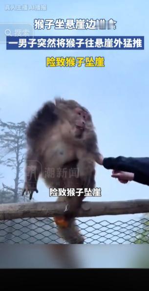 景区出现让人愤慨的不文明一幕，一只猴子安静待在悬崖边专心吃东西，完全没有招惹旁人