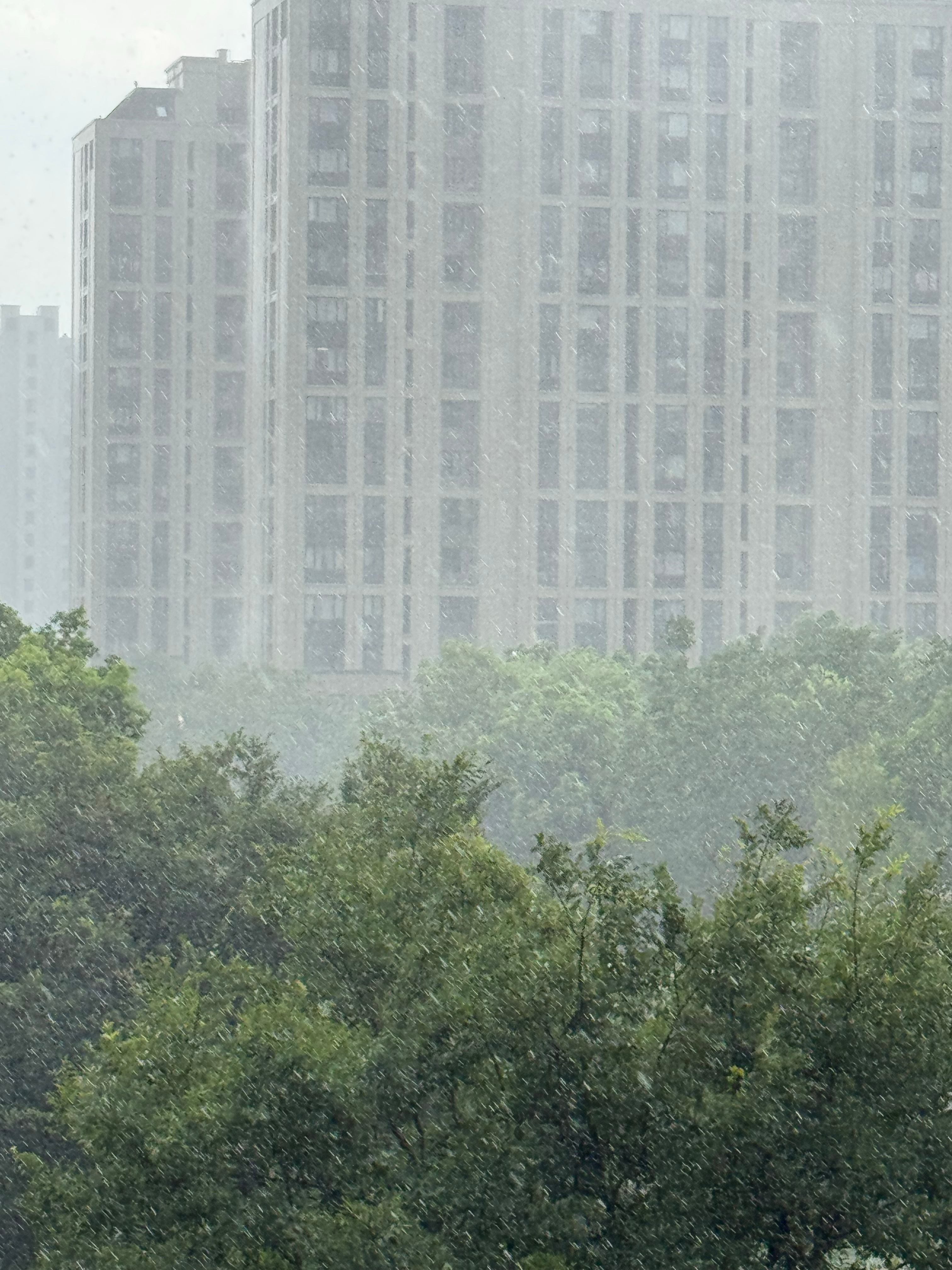 夏天的雨和太阳一样猛烈🌧️ 