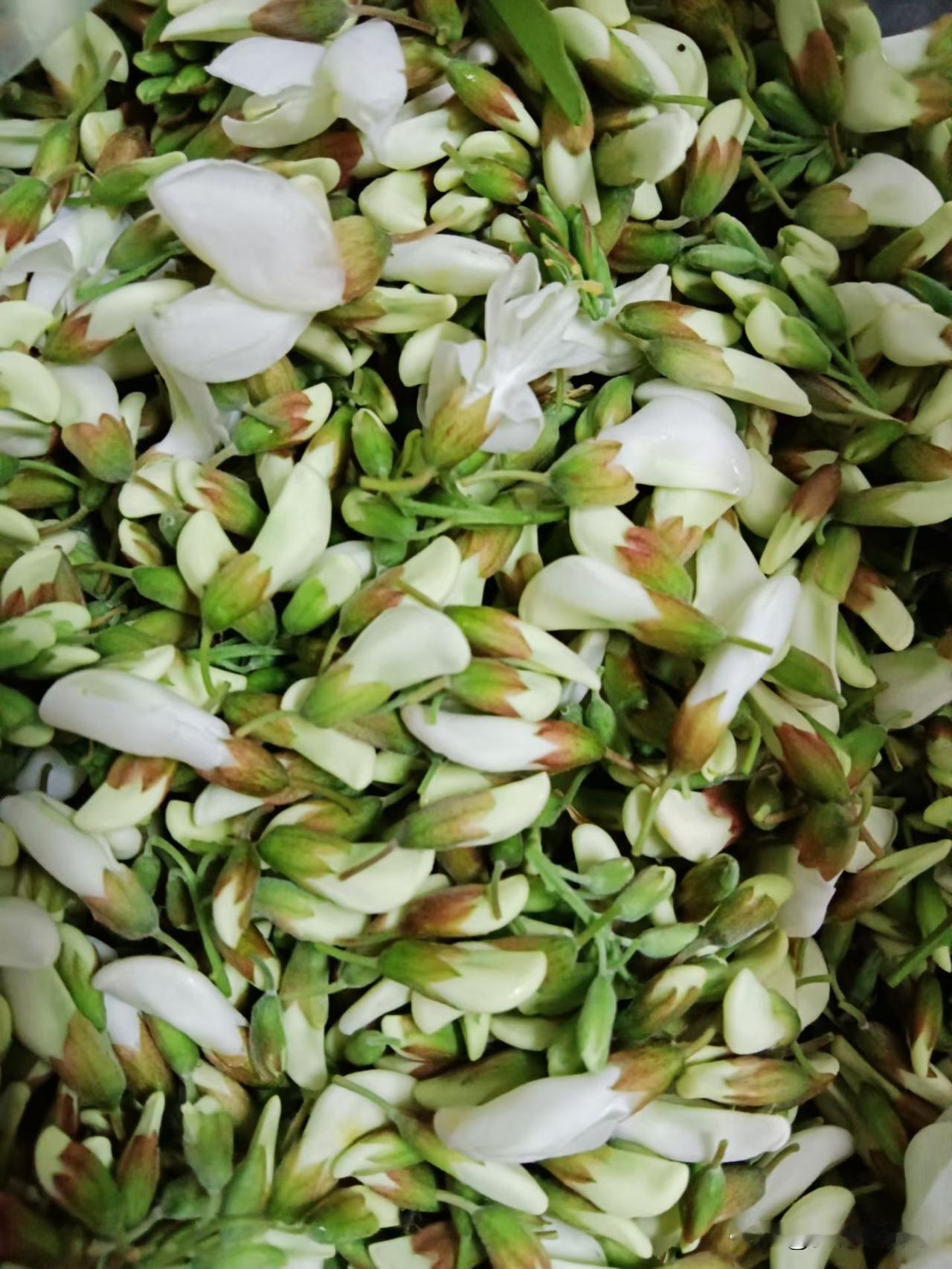 西安的友友们，在西安艳阳天西府饭和大海子陕菜品尝了洋槐花麦饭了吗？西府大烩菜 西