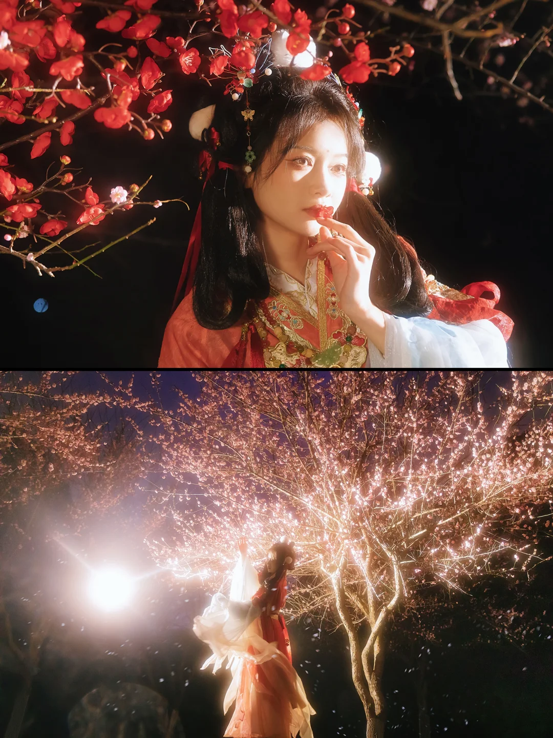 在七星公园粉梅林拍了小仙童🌸