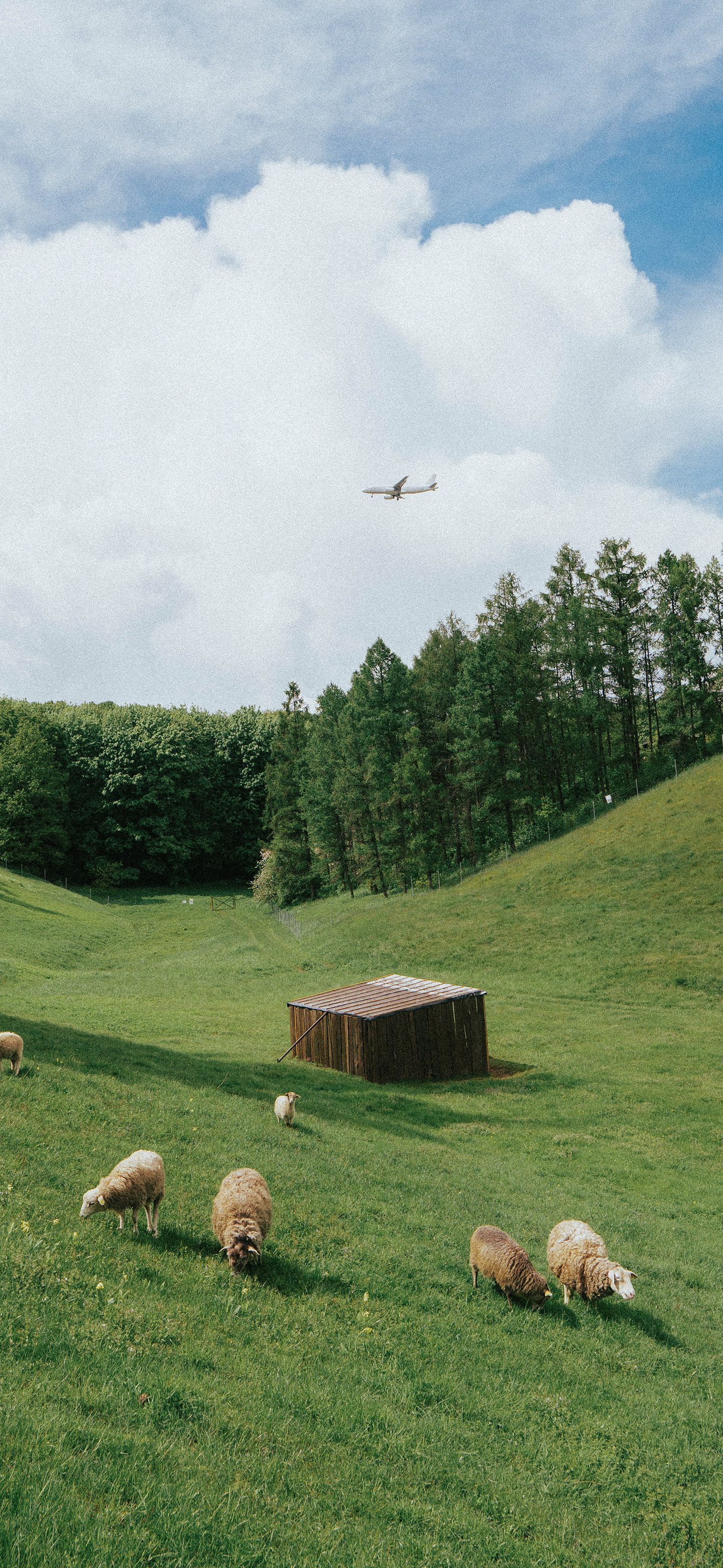早上好～报数风景壁纸