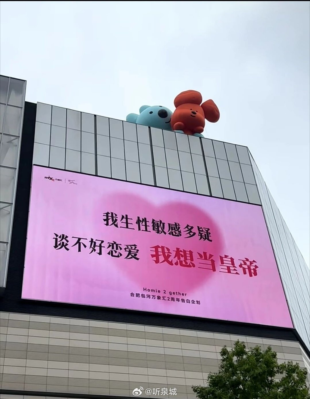 分享图片 