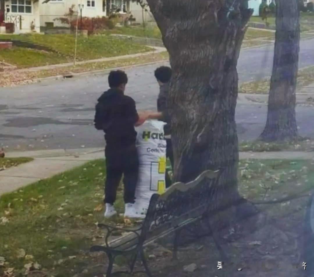 我在美国的感人故事

两个孩子敲开我的门，说要帮我耙整个院子，总共只要10美元—