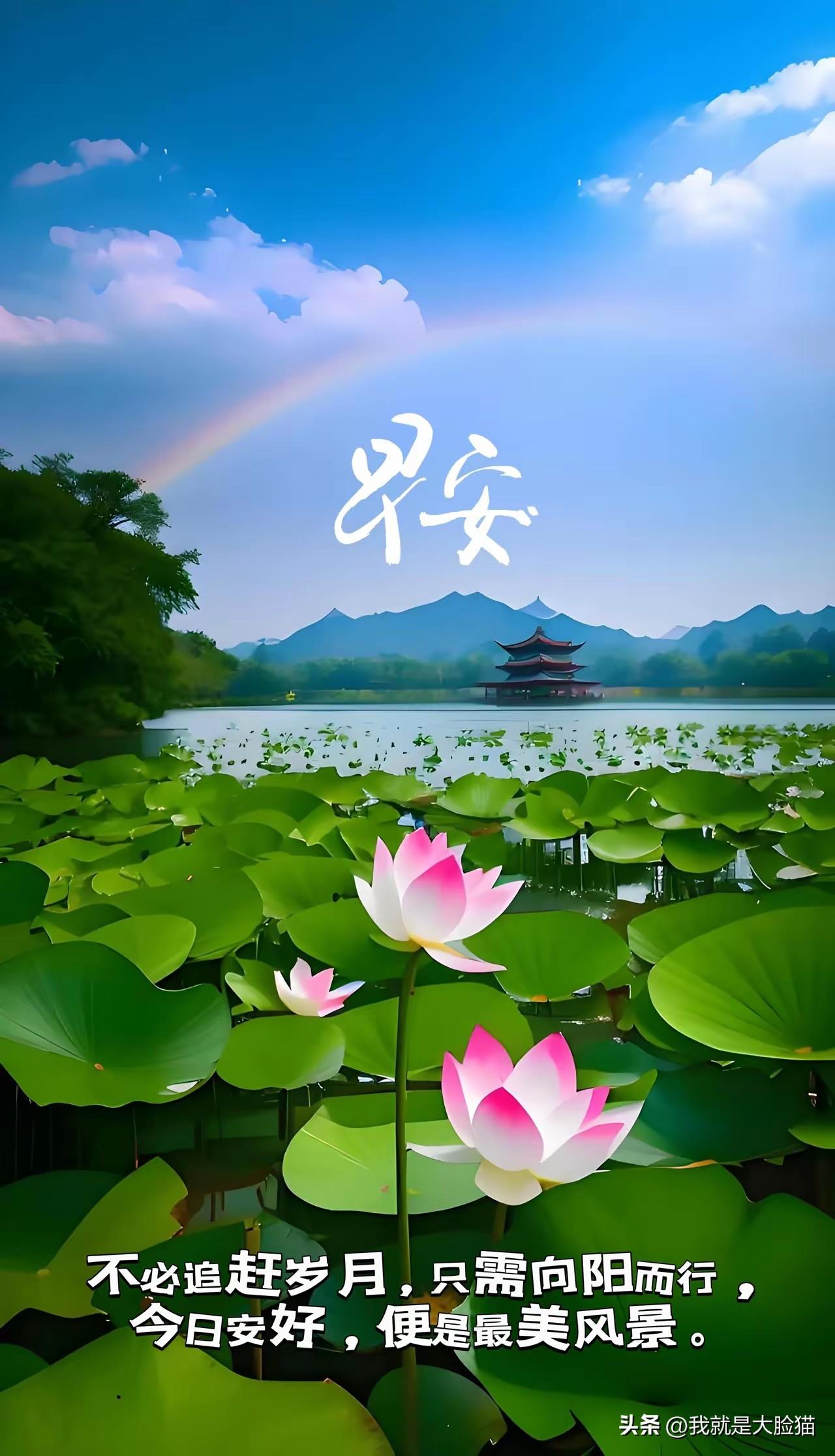 早安🍎你好🌹
问候很简单，三言两语很温暖。
祝福很朴实，字字句句入心田。
有