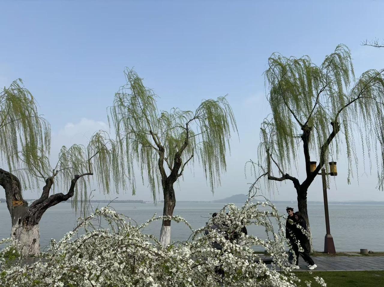 给自己一句话，你会说什么?

给自己一句话：算了，放过自己吧。

昨晚清理手机，