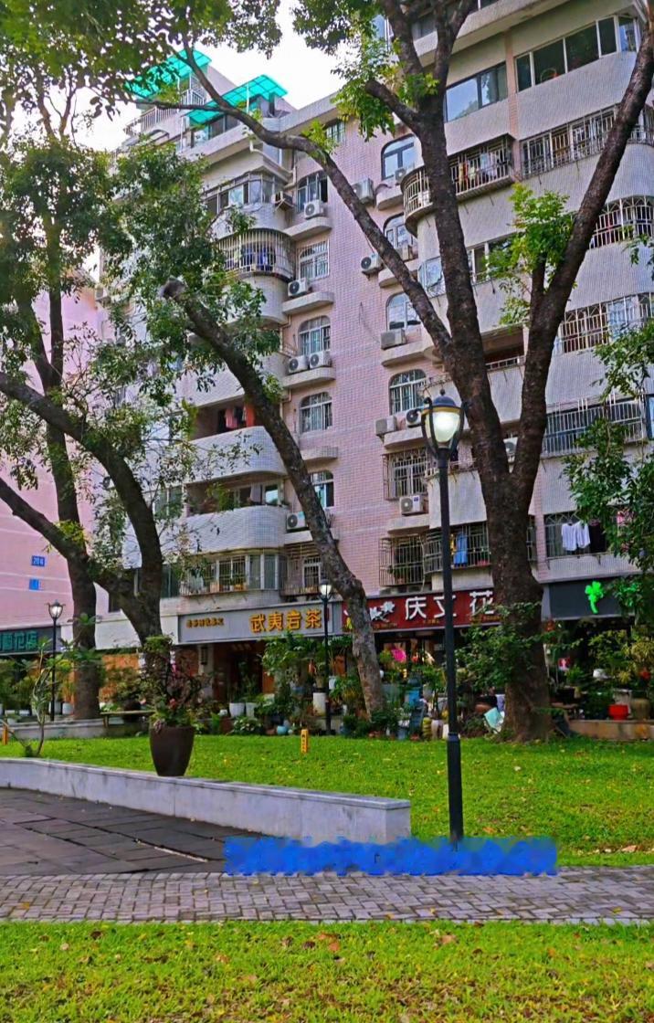 今天去深圳香蜜湖逛了一下，我被她旁边这一片多层住在小区吸引了。现在的高层超高层住