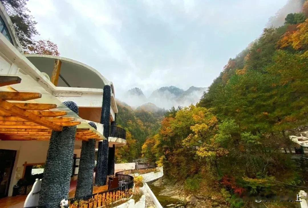 霜降已至，天气逐渐变冷。此时，佛坪已满是秋色，正是观秋赏秋的好时节。不妨约上三五