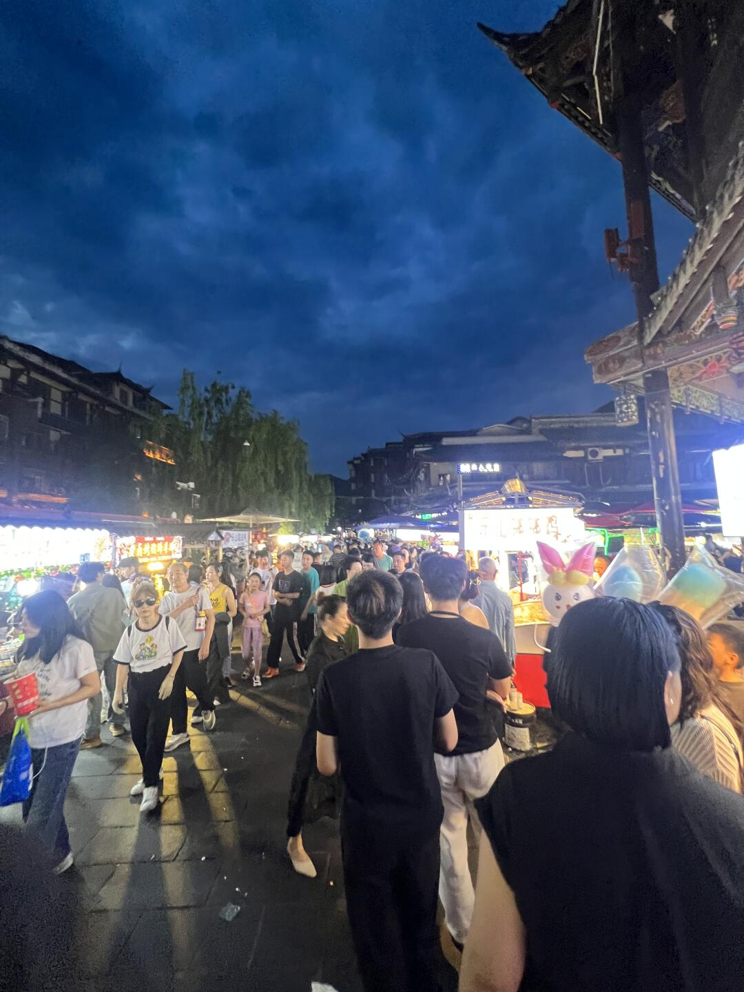 都江堰蓝眼泪！！劝退了！！求5.3的图！