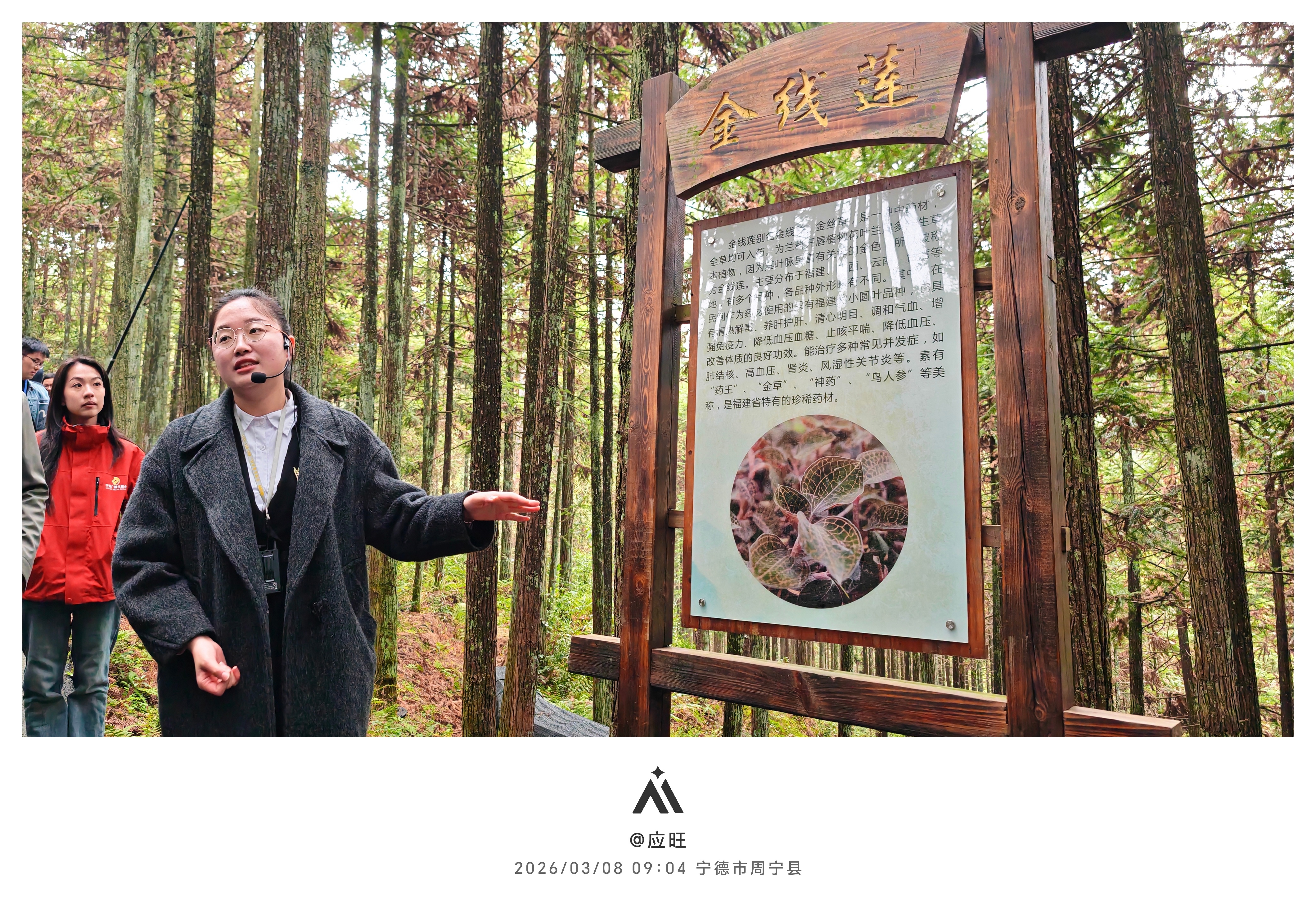 探访黄振芳家庭林场：四十年植绿兴产，荒山变生态金山今天上午，我们走进福建周宁黄振