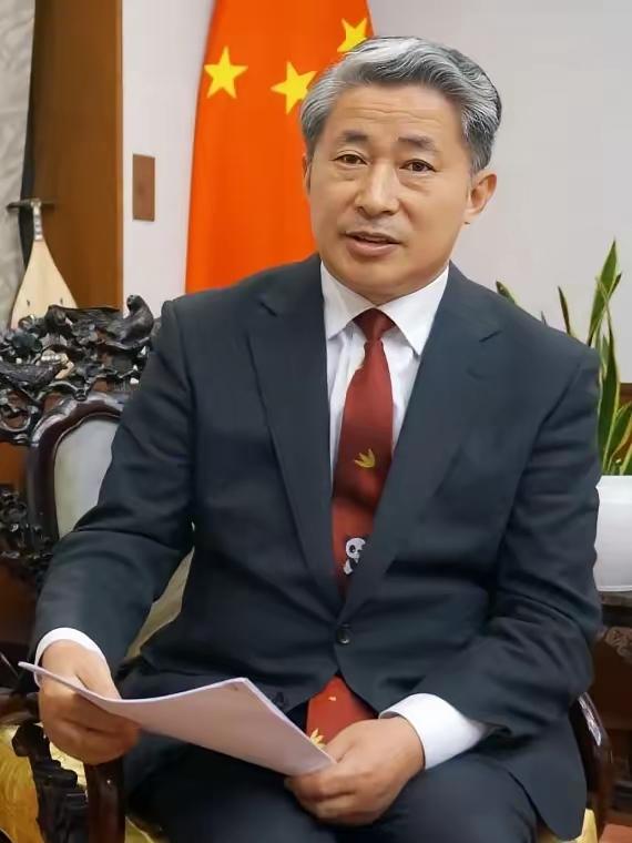 中国驻大阪总领事‬薛剑“斩首说”引发日本社会震动！

近期，日本政客抛出的涉台危