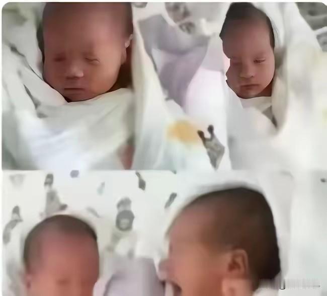 网传广东惠州一女子怀了四胞胎，婆婆说：如果生两男两女就奖励100万元，三女一男奖