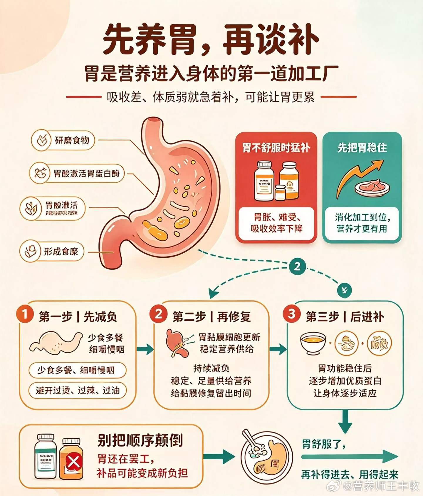 很多人一发现自己胃不好，吸收差、体质弱，第一反应就是“补”——蛋白粉、维生素、保