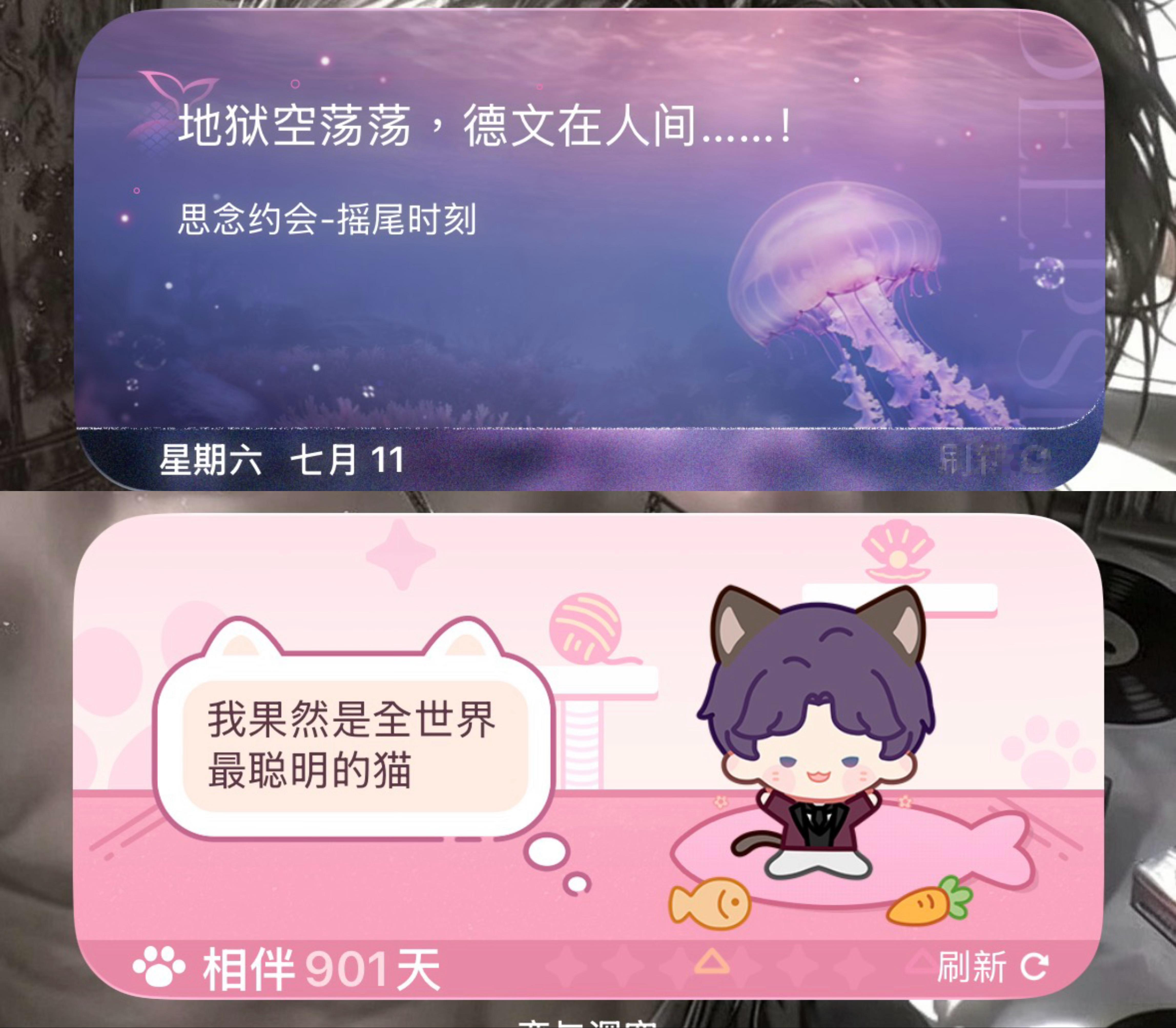 地狱空荡荡…恶魔小猫 