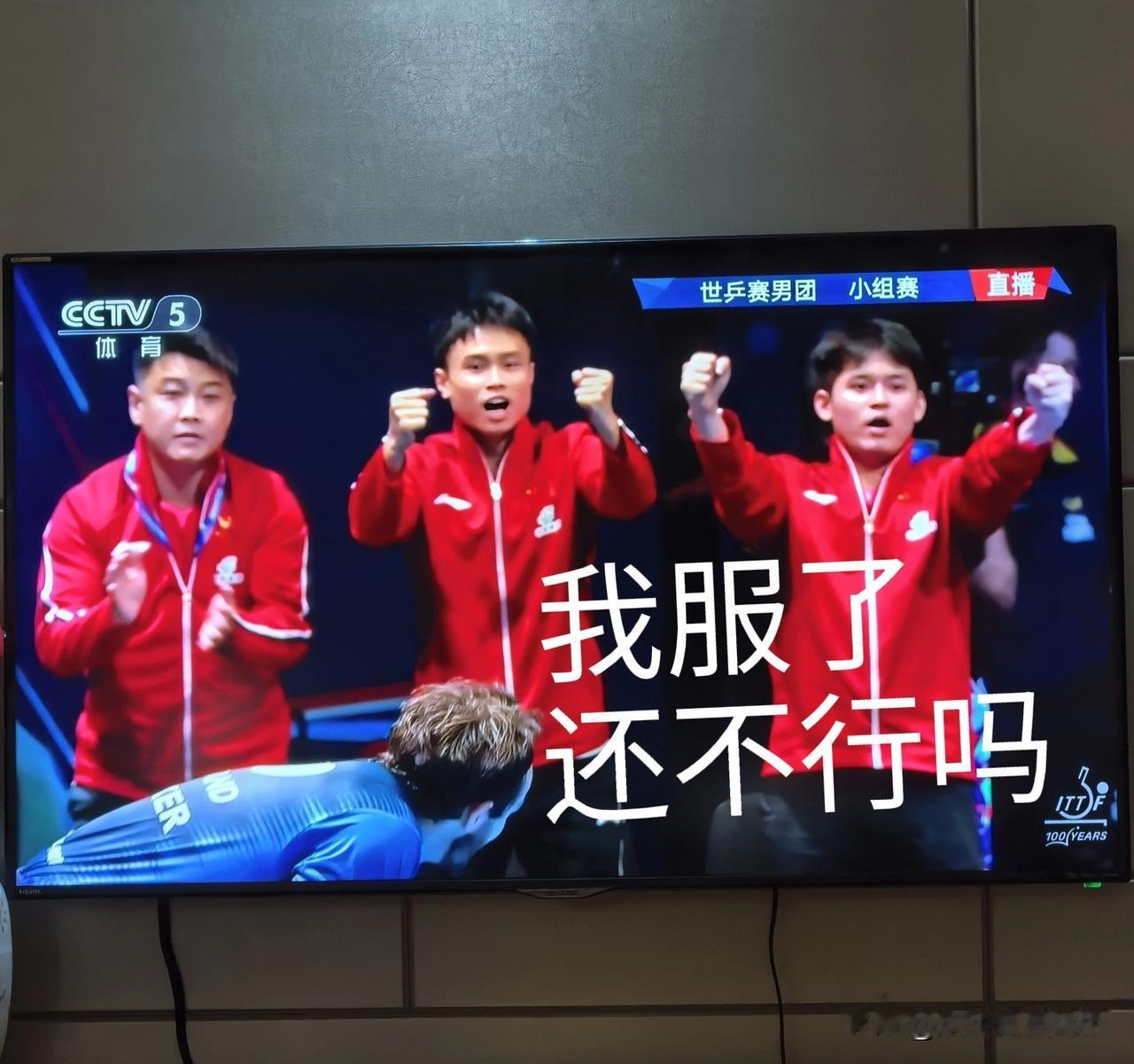 这个可怜的英格兰人在怒吼的国乒将士面前卑微到了尘埃！