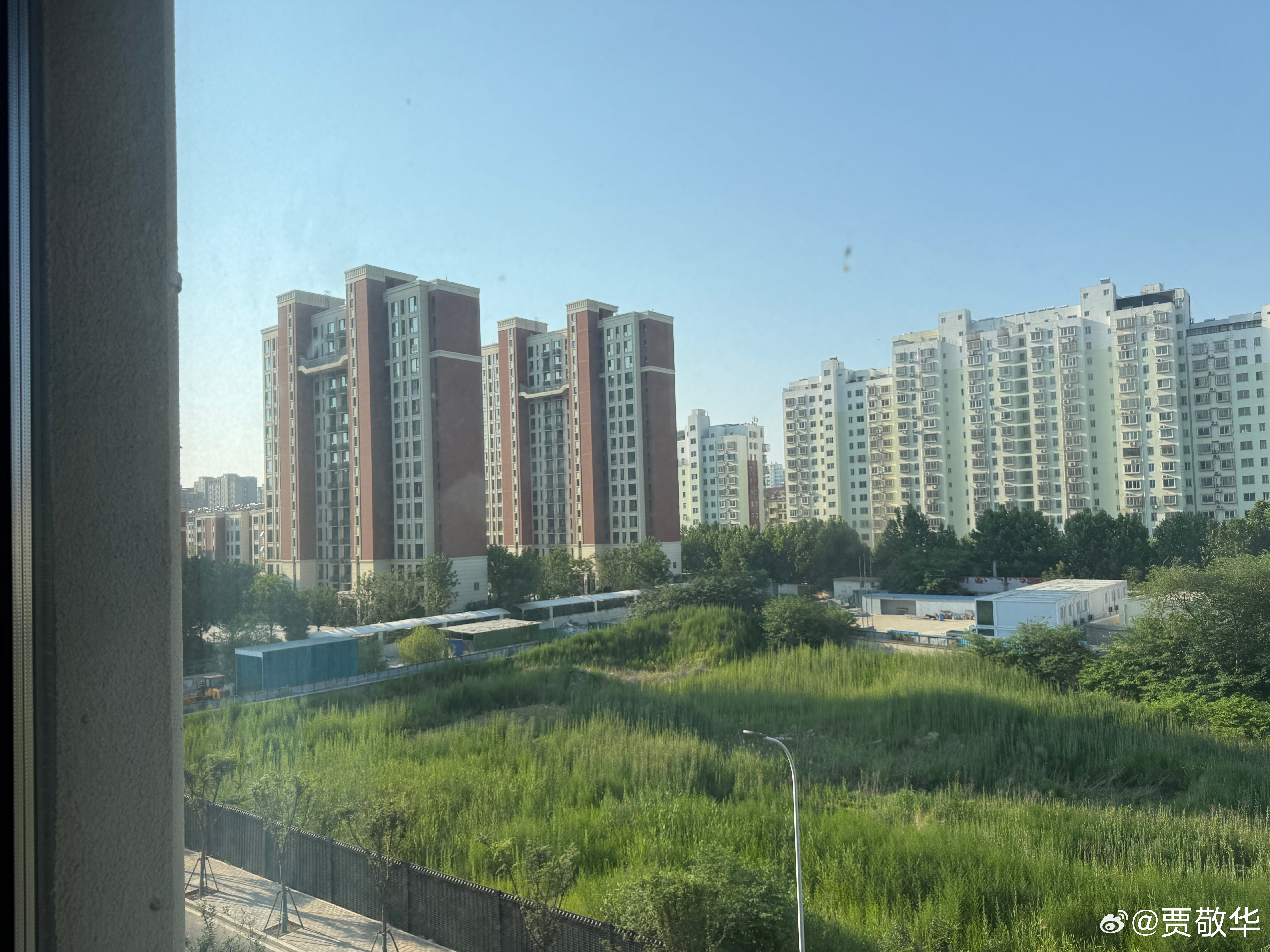 #每天早起打卡# 又是一个艳阳天，真暖和。起床，搬砖去！ 