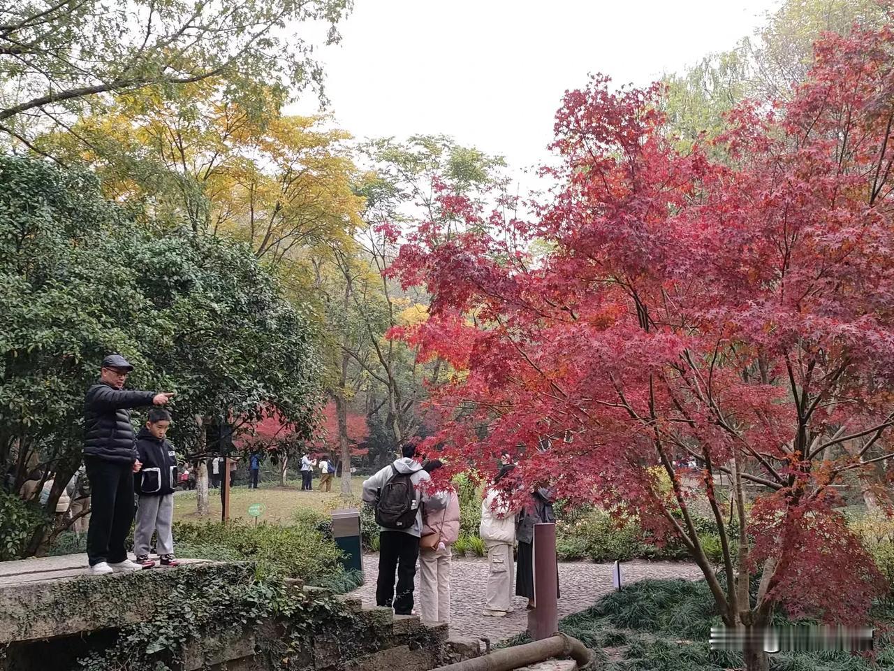 都说女少男多，可是这些年新招的老师都是女的，学校周边熟悉的人每次总是问我们：你们