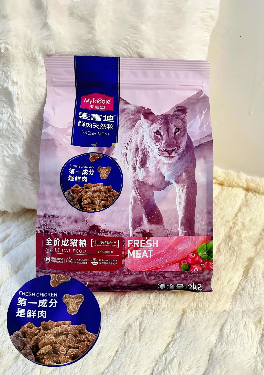 低预算高要求的新手养猫家长进！