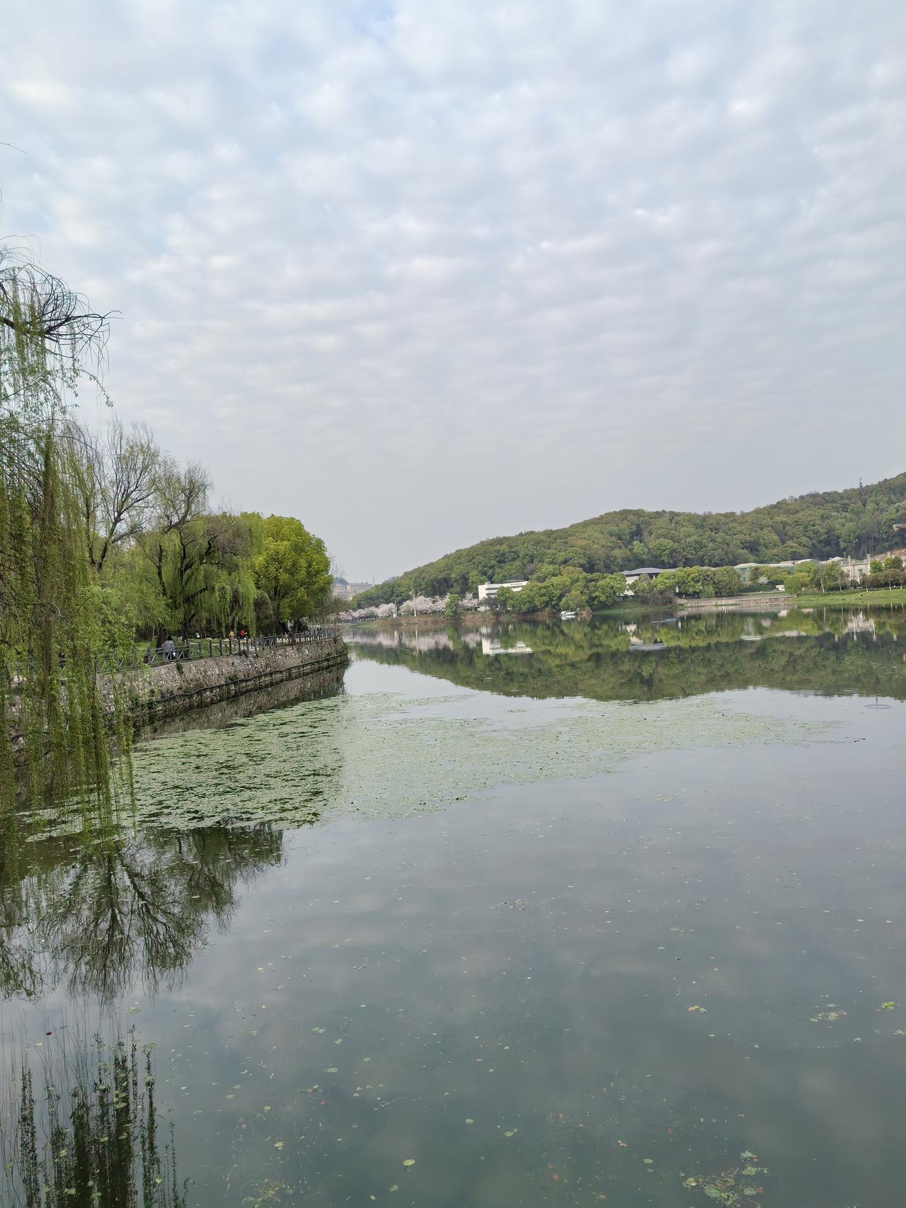 心情对行为的影响那可太大了。就说我自己，心情好的时候，看啥都顺眼，工作效率那叫一