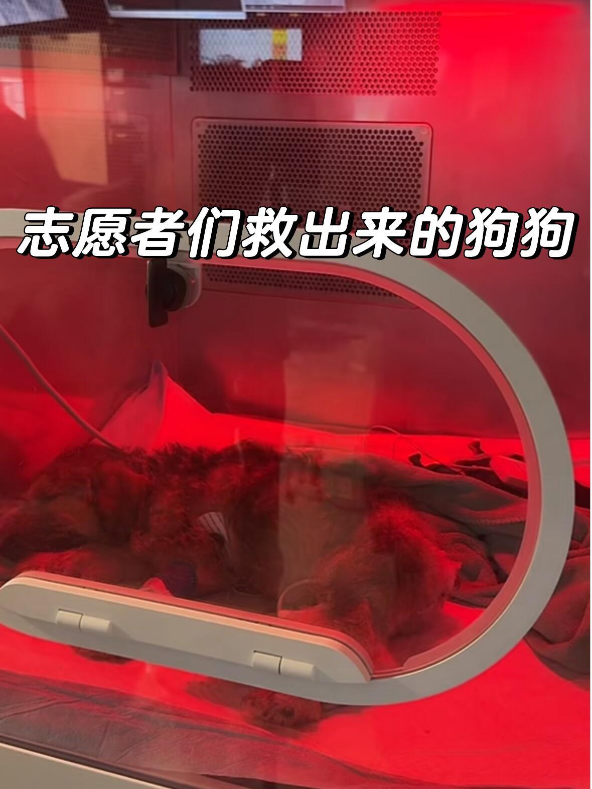 重庆山姆打包哥从来没有哪一次类似事件，能有这么盛大又这么迅速的全民响应。素不相识