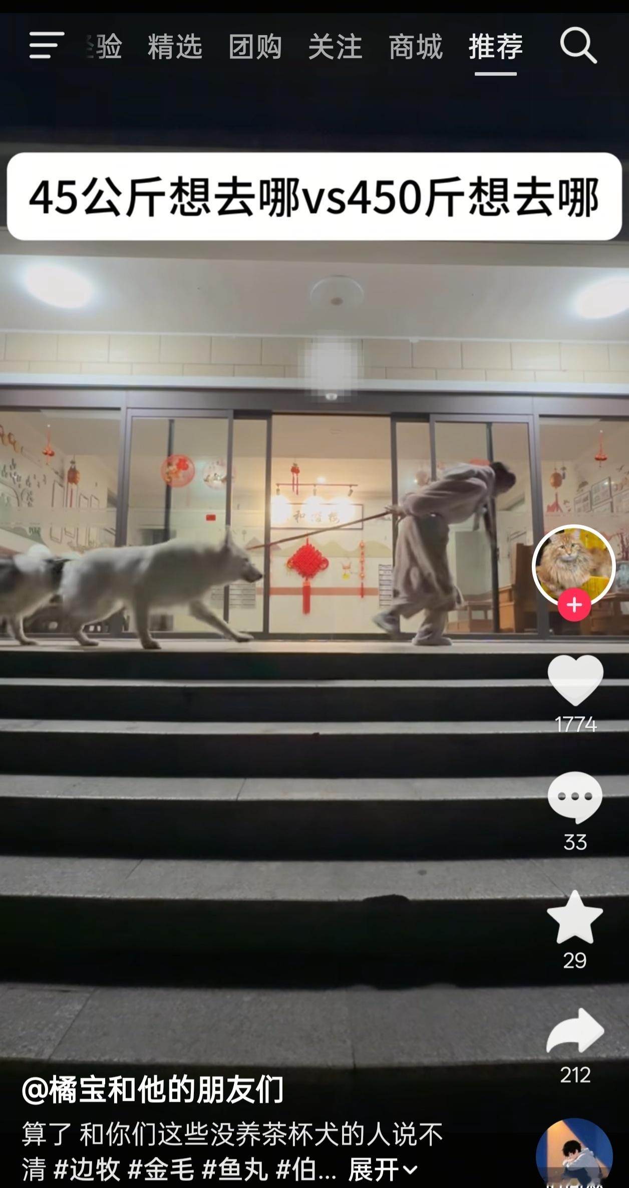 现在刷刘涛刷多了后，我的🫘推荐就变成了这样👇🏿 