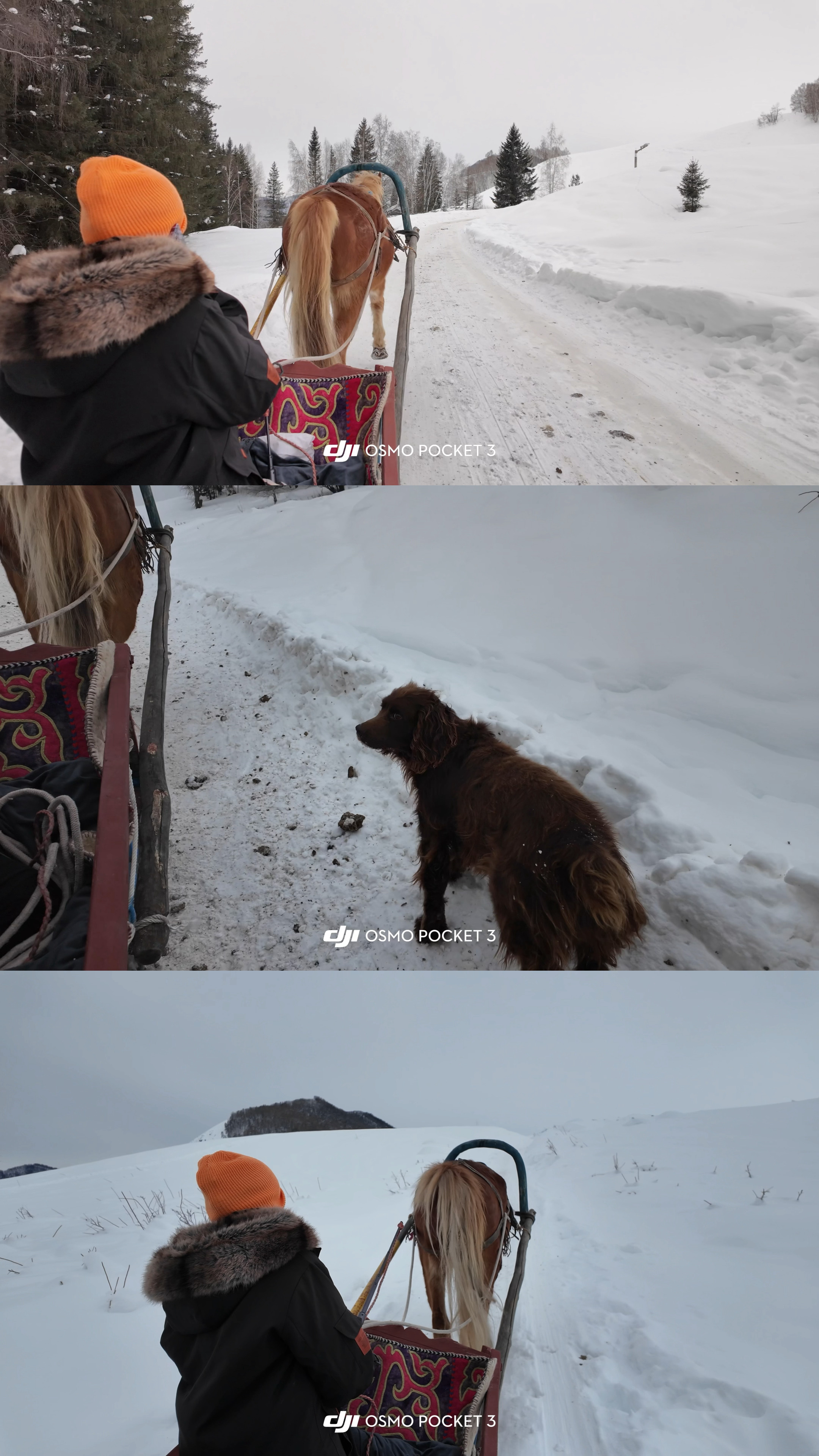 🐎day /山林与雪合理碰撞🏔️  ​​​