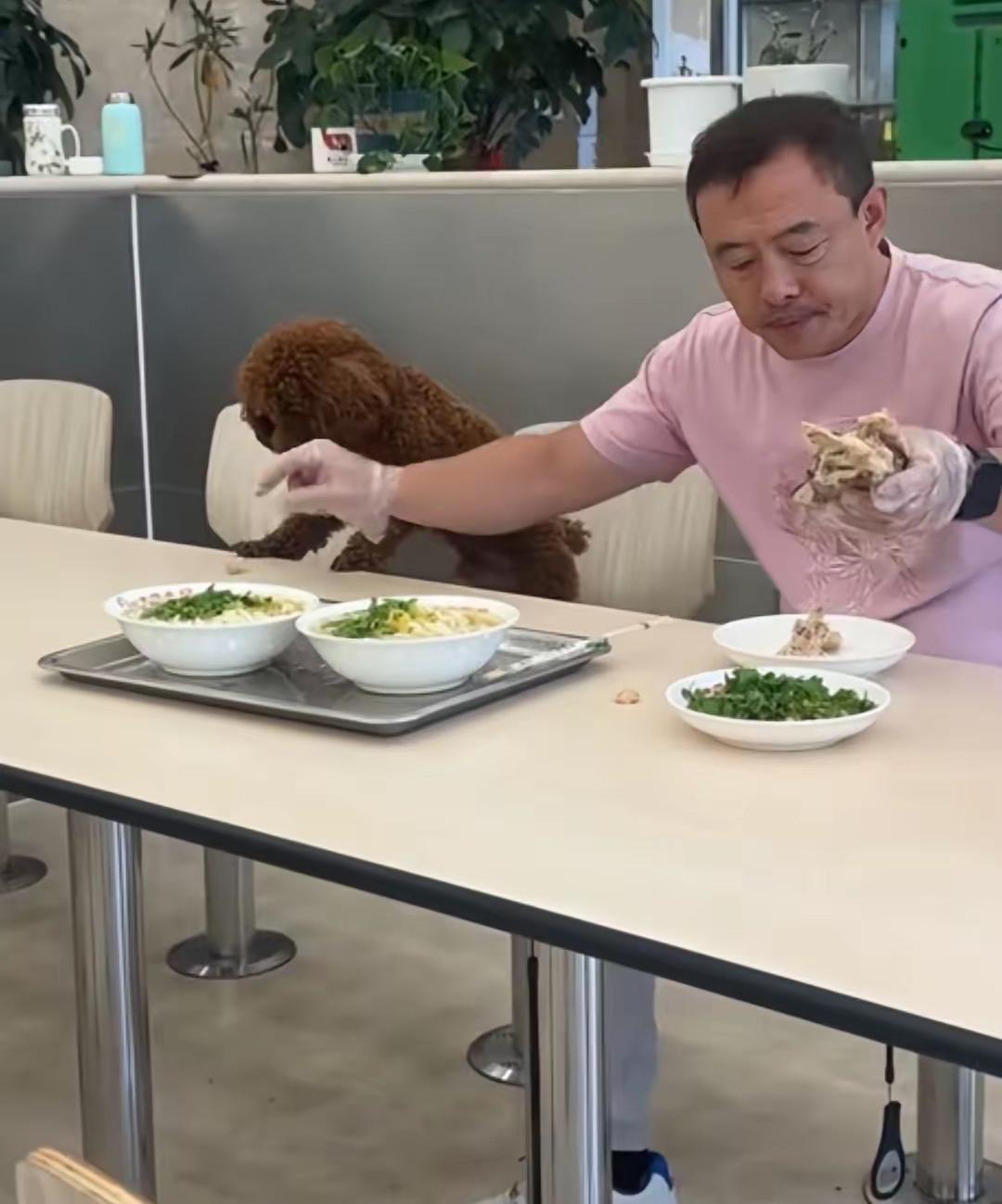 到现在也没人知道沈阳那带狗上餐桌的男的是谁，啥信息都没漏出来。

就知道是16号
