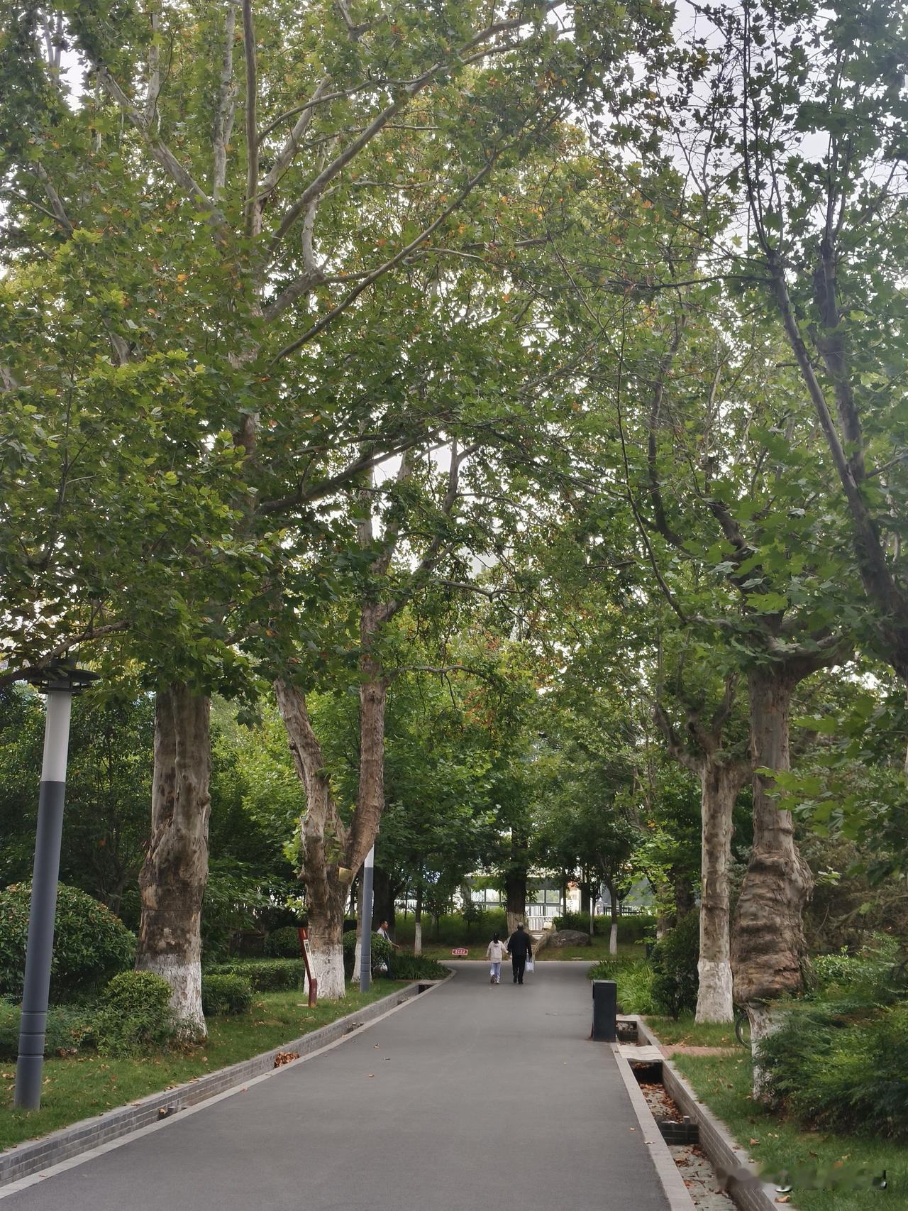 晒图笔记大赛晒图笔记大赛就是一个很好的方式，因为通过这样的方式也能够使我们实现出