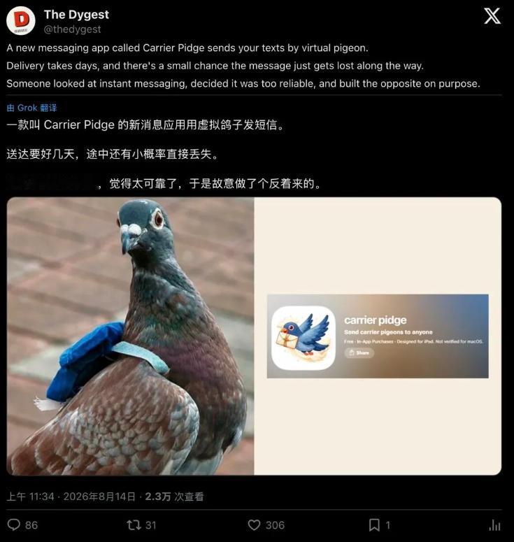发一条消息等22小时，信鸽还有0.2%概率“阵亡”：这款反效率App火了
现代人