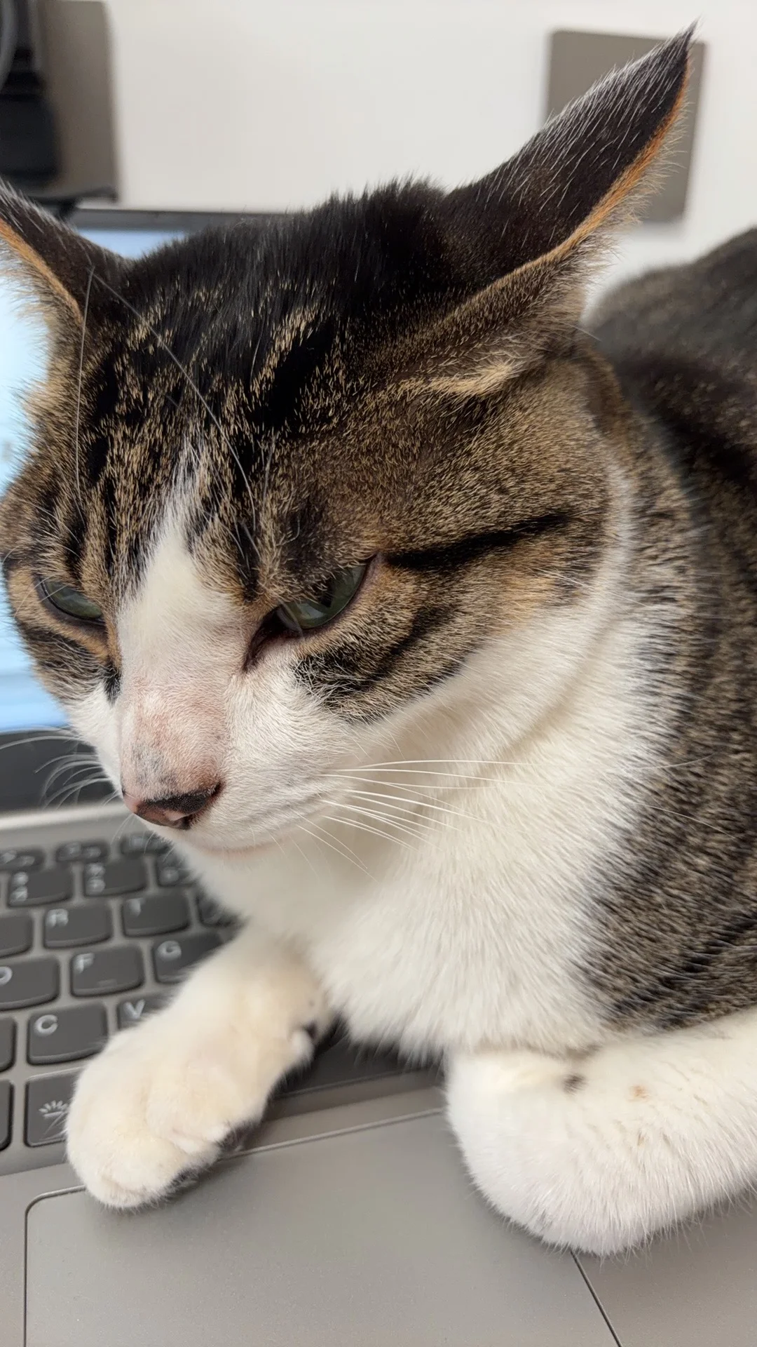 老板：你今天怎么没上班？