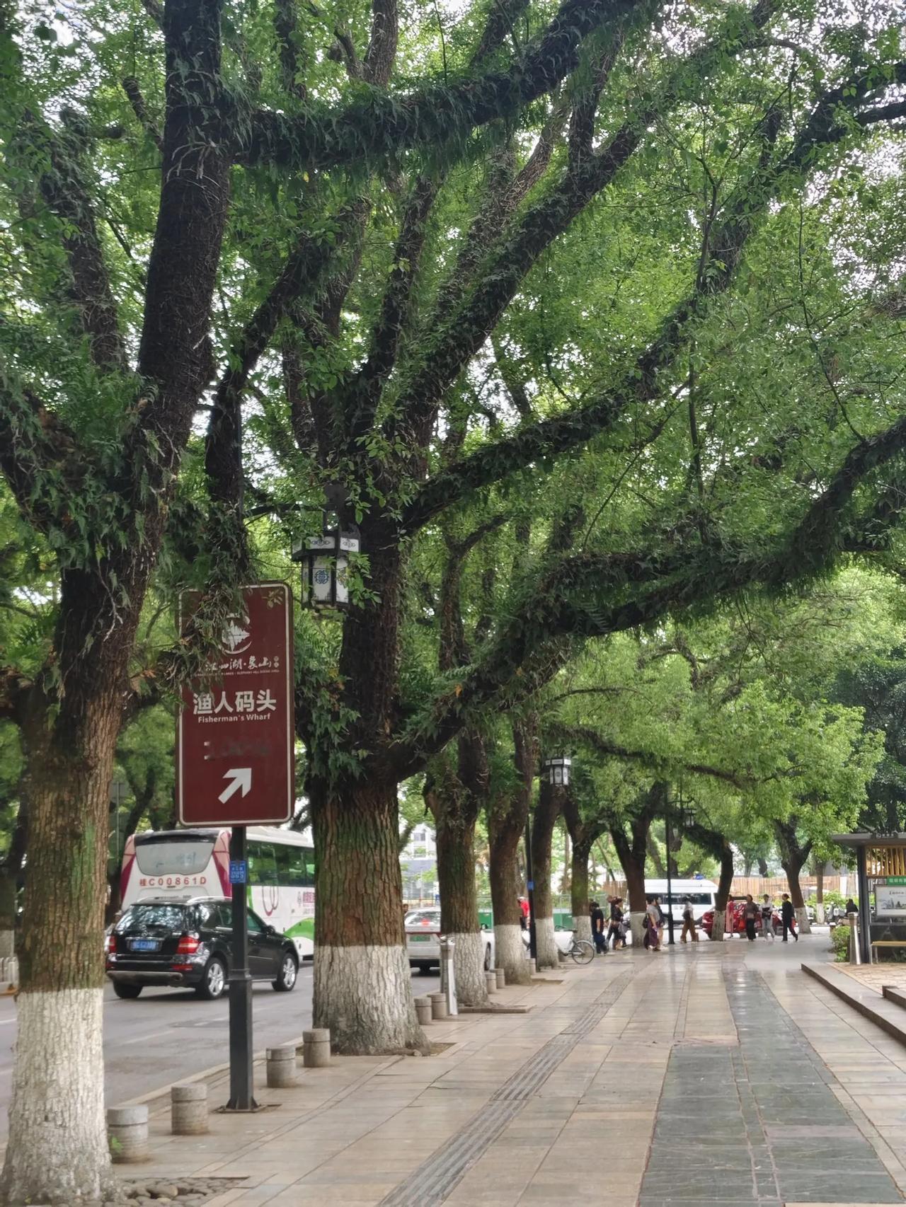 桂林滨江路，游人如织，闹中取静。