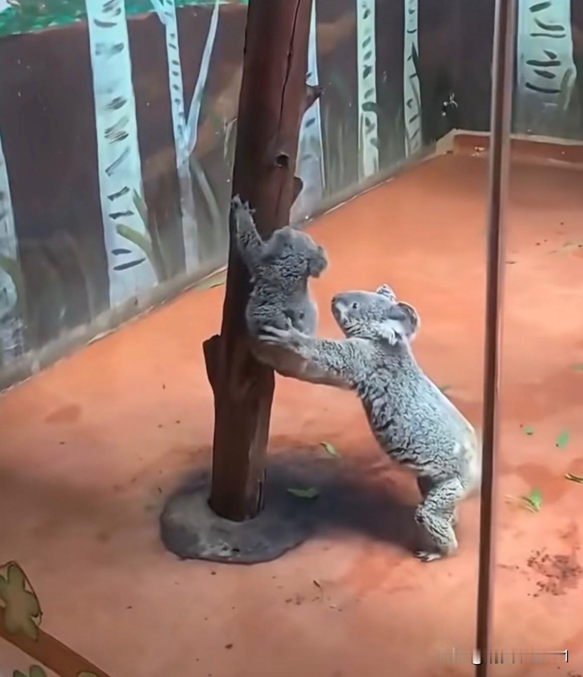 都重要，要相互配合，祖国的花朵才可以茁壮成长！

老师父母不能只打骂，老师不能只