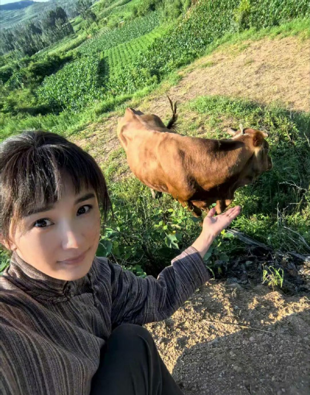 杨幂将录制种地吧 俺不行了，期待杨幂，今晚继续来看生万物 ​​​