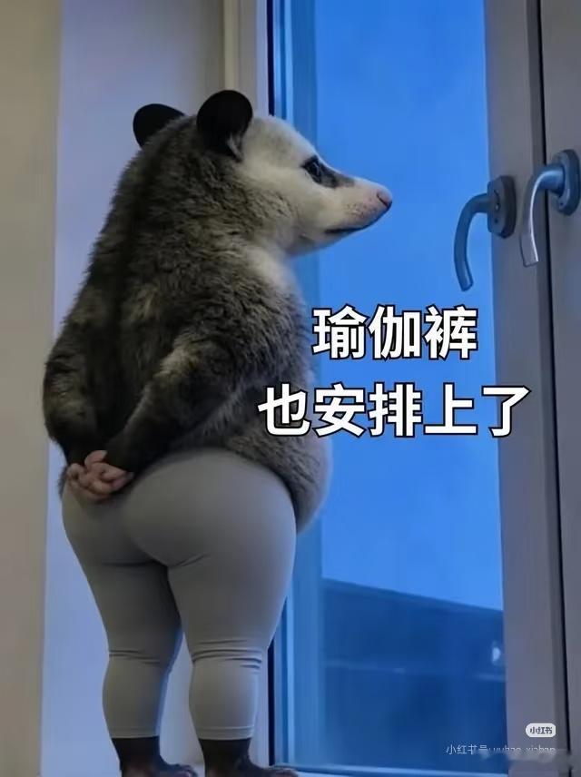 大哥可能有男朋友了，他要买一件粉色跨栏背心去健身，我明确阻挠，我还没穿上粉色呢，