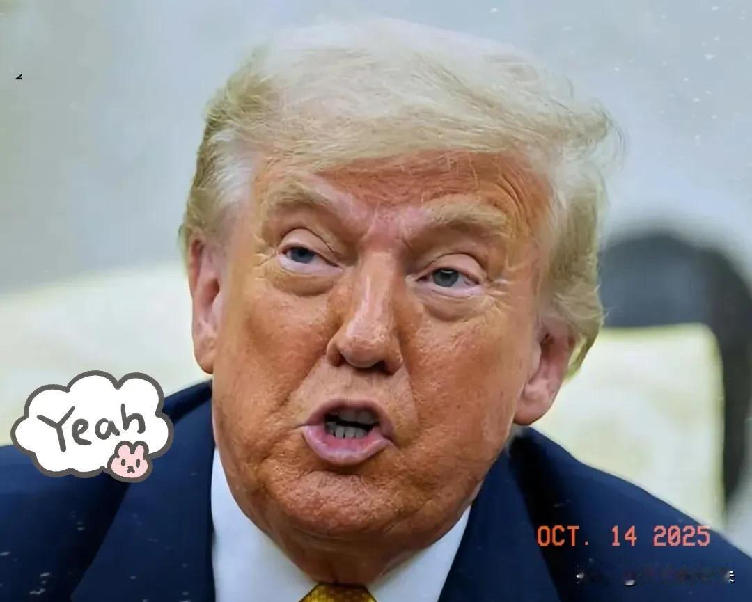 坏了，
居然有开始给美国支招了！

有网友说美国对我国加100%关税没意义，老套