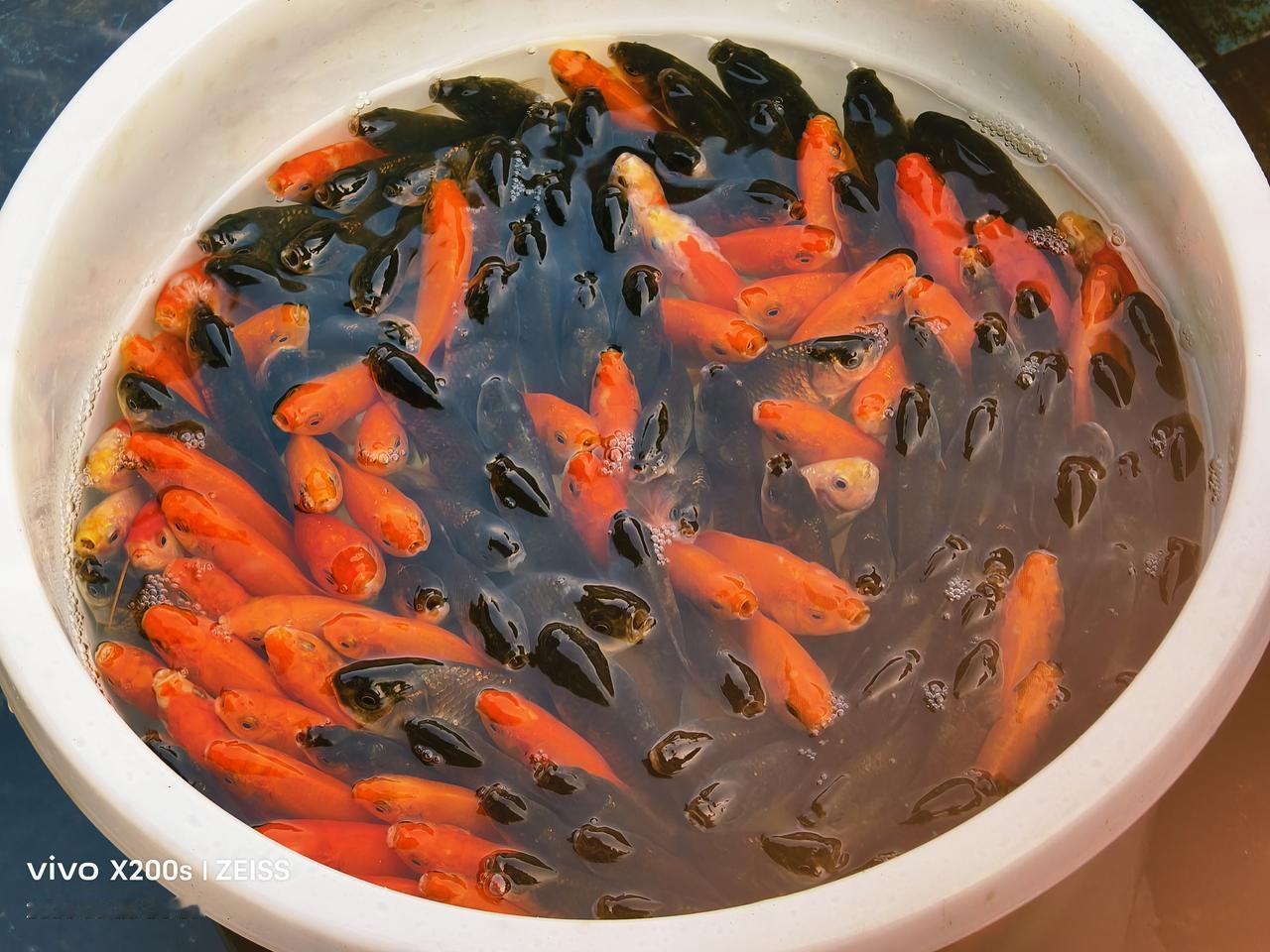 家家有本难念的经，你认同吗人人爱表看起来光鲜亮丽，但家里的地上都有鸡毛，所以家家