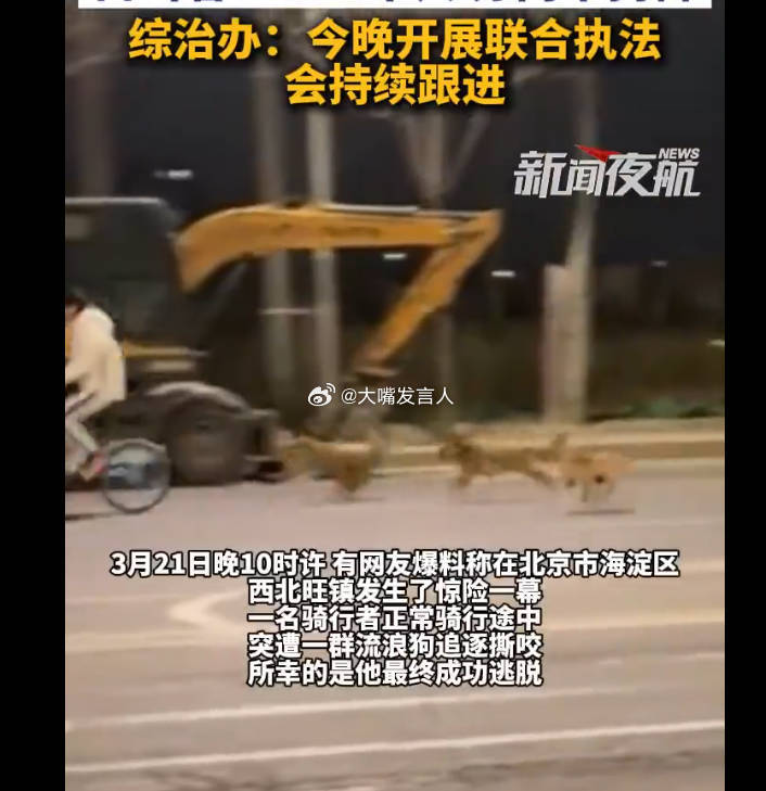 北京海淀现多只流浪狗追咬骑行路人     昨天听一场线下讲座，某C9优秀学生作分