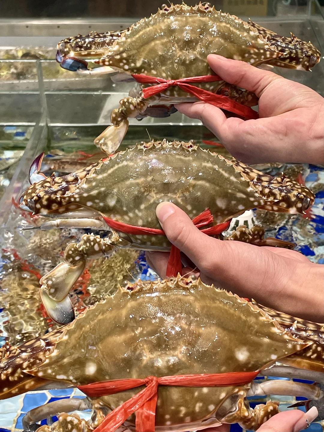 想实现海鲜🦞自由，来这就够了