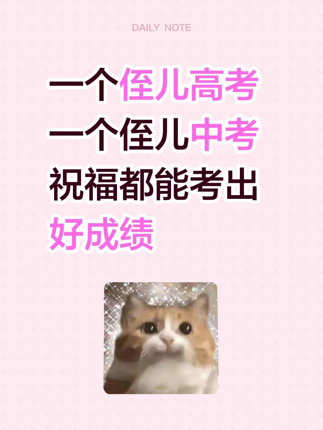 一个侄儿高考
一个侄儿中考
祝福都能考出好成绩