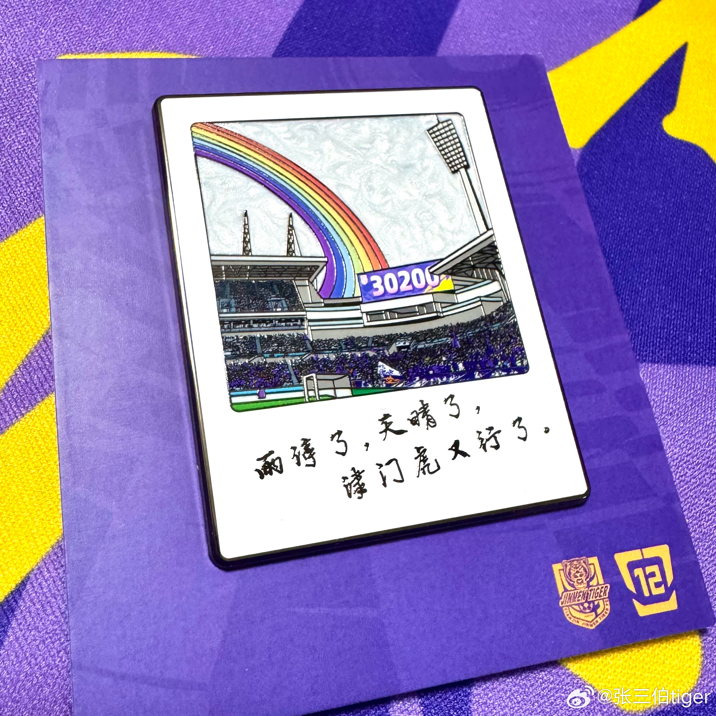 【2025泰达球场纪念徽章】本赛季最后一次在泰达球场的主场比赛，我设计了一款专属