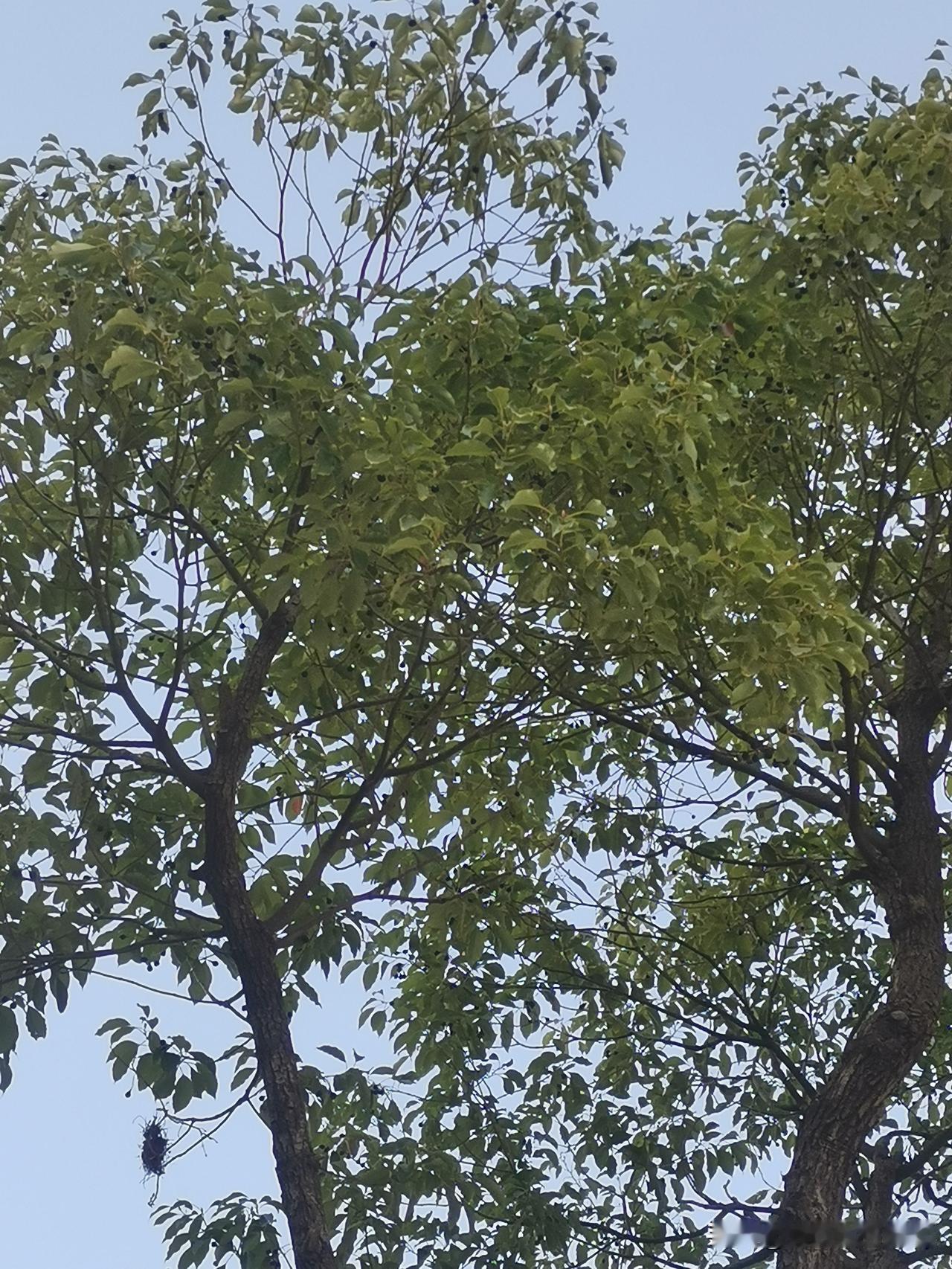 可能有些朋友会有意见，因为我是北方人，不在自己家，在镇江，感觉比在家暖和的多。